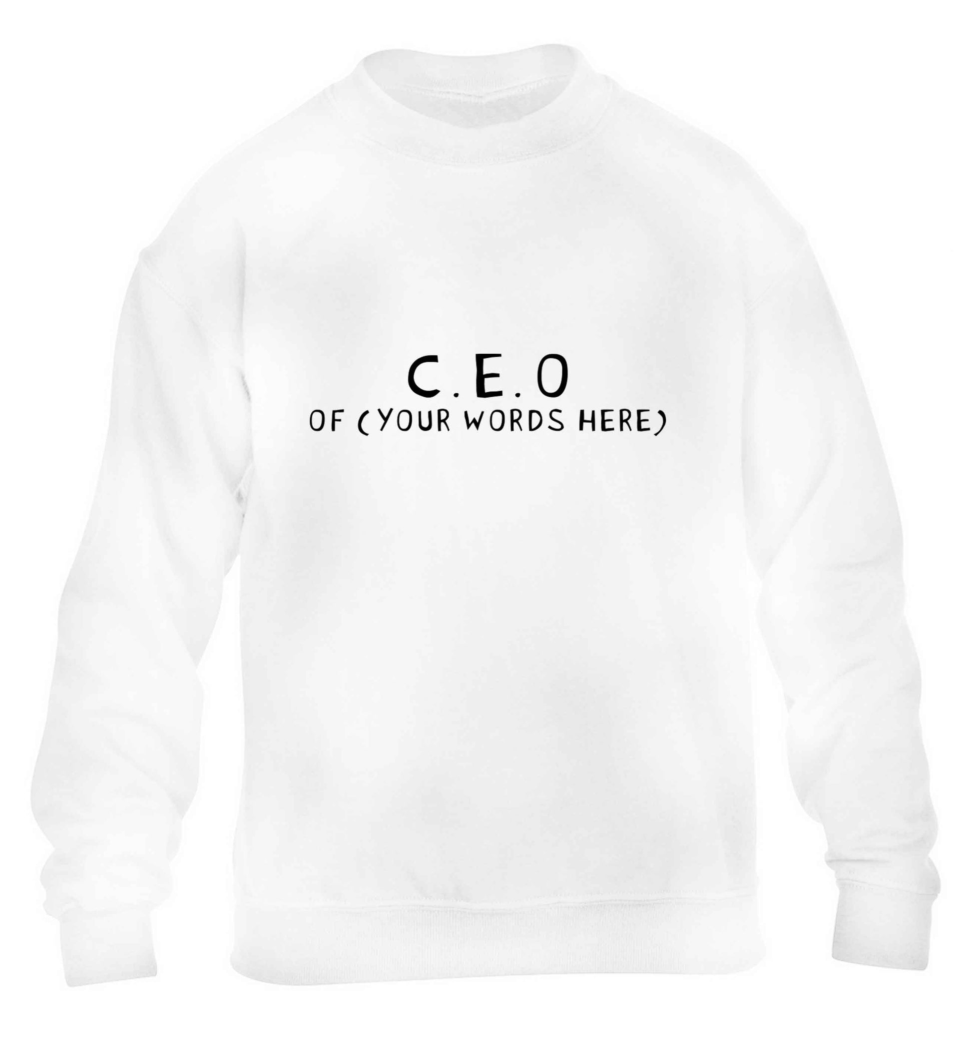 What are you president of? Personalise it here!  children's white sweater 12-13 Years