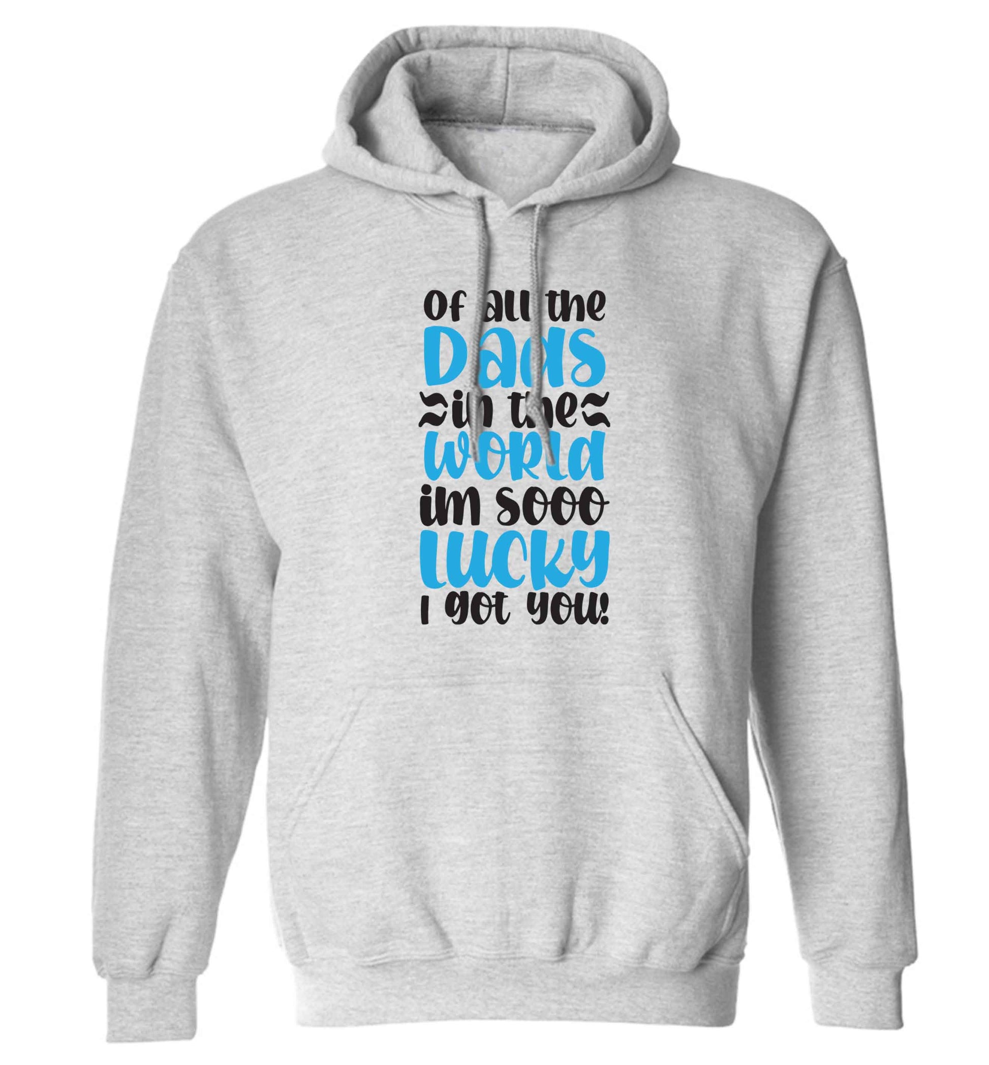 Of all the Dads in the world I'm so lucky I got you adults unisex grey hoodie 2XL