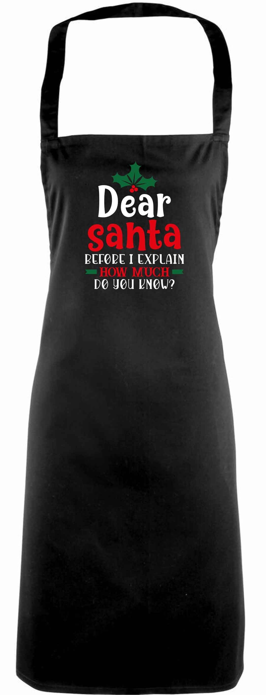Santa before I explain how much do you know? adults black apron