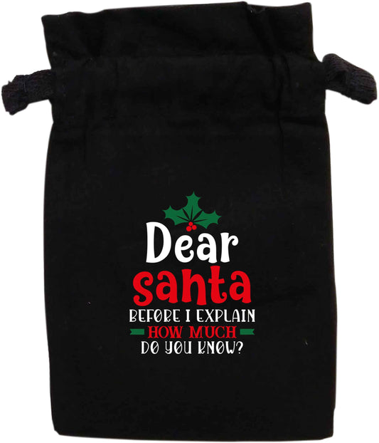 Santa before I explain how much do you know? | XS - L | Pouch / Drawstring bag / Sack | Organic Cotton | Bulk discounts available!