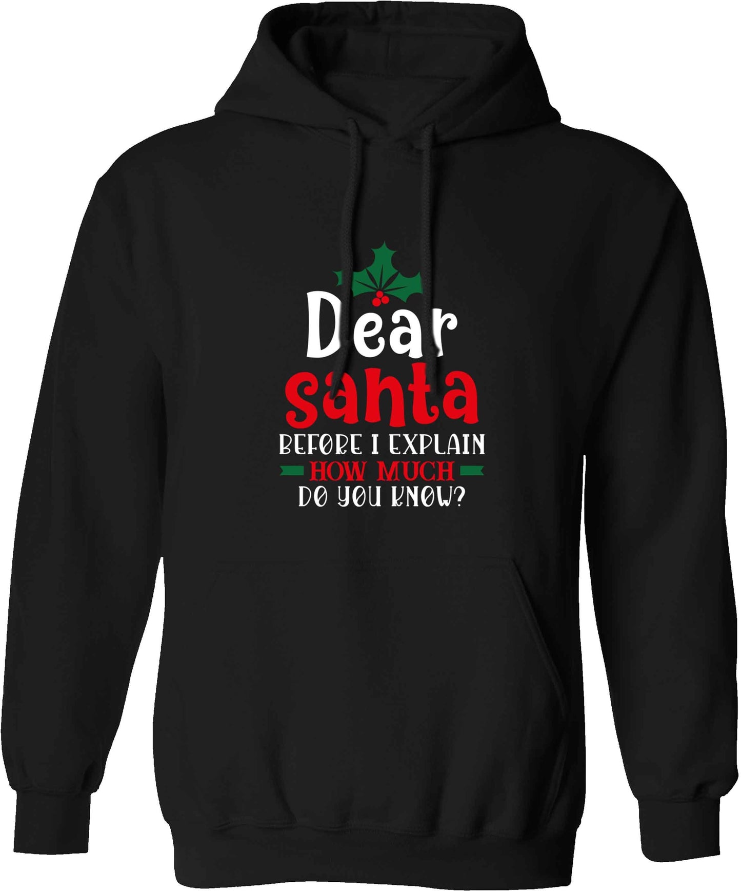 Santa before I explain how much do you know? adults unisex black hoodie 2XL