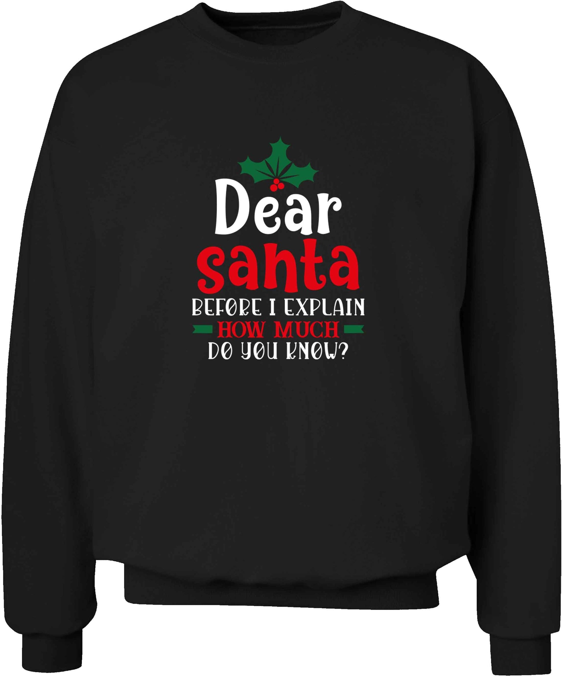 Santa before I explain how much do you know? adult's unisex black sweater 2XL