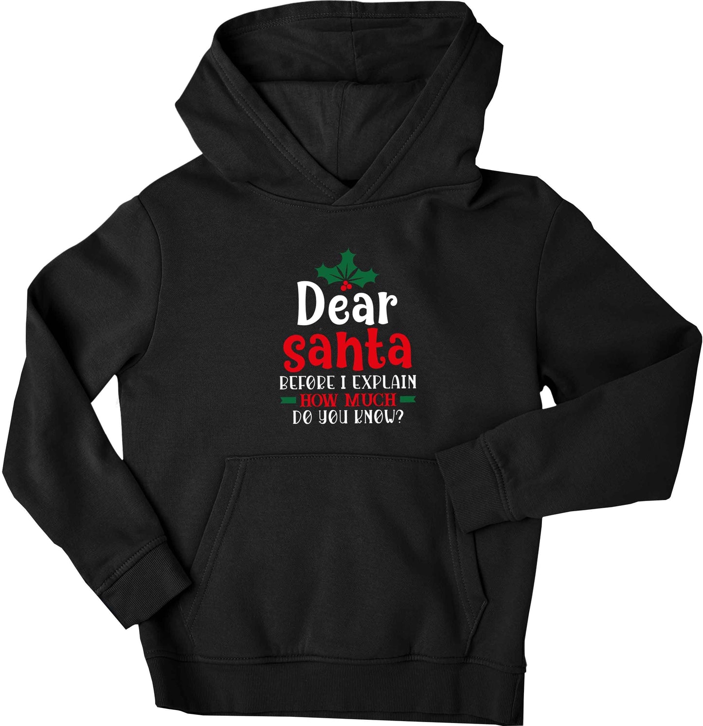Santa before I explain how much do you know? children's black hoodie 12-13 Years
