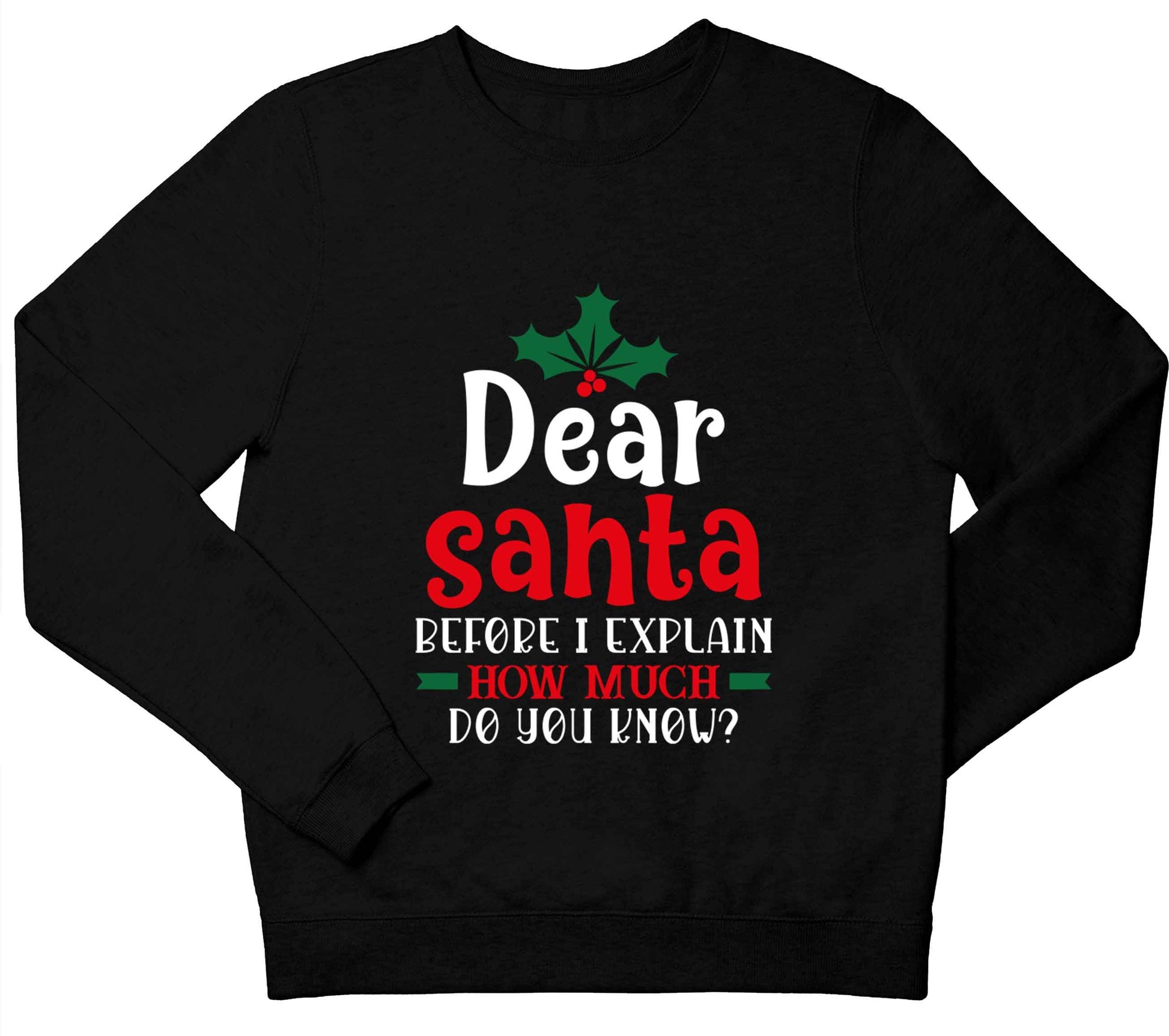 Santa before I explain how much do you know? children's black sweater 12-13 Years
