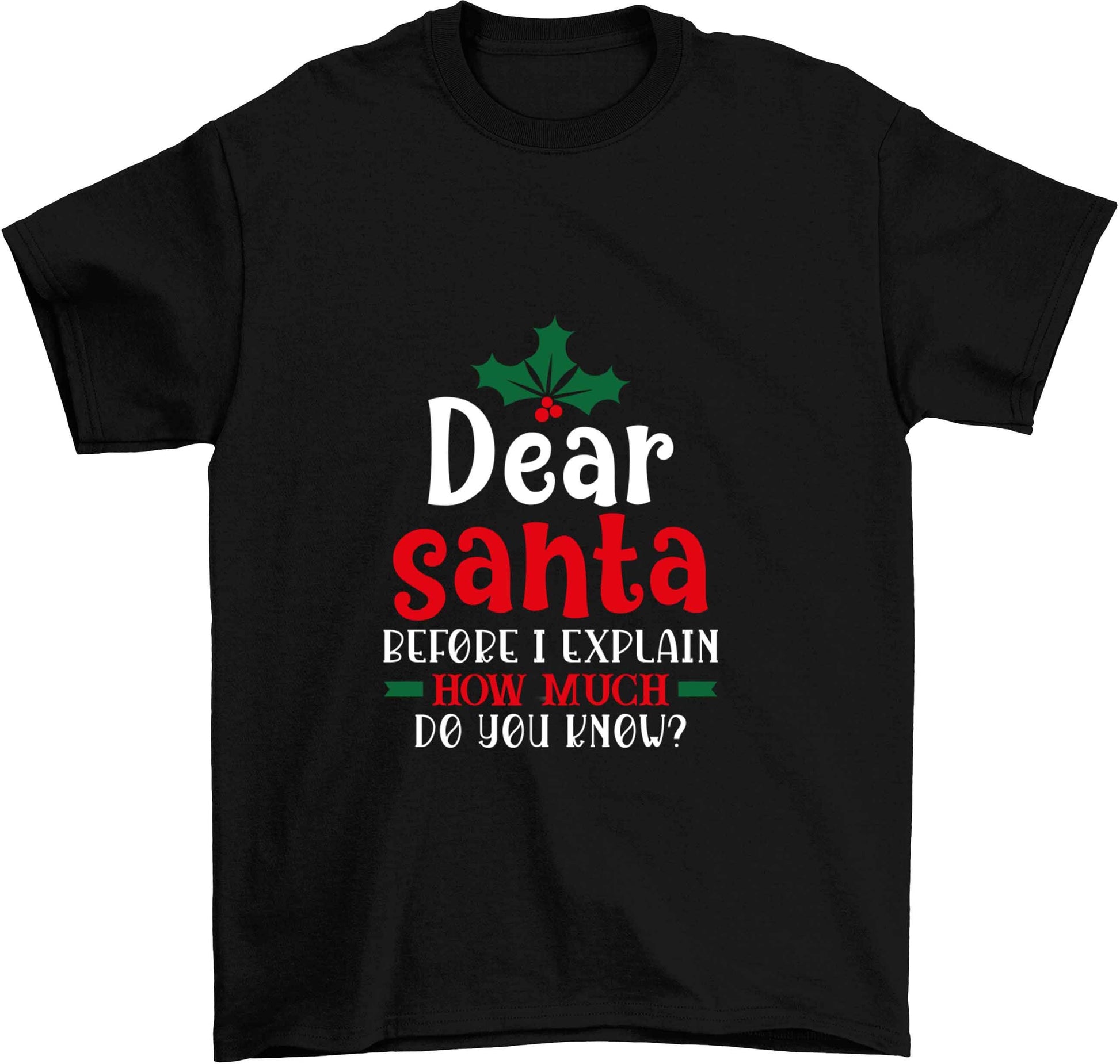 Santa before I explain how much do you know? Children's black Tshirt 12-13 Years
