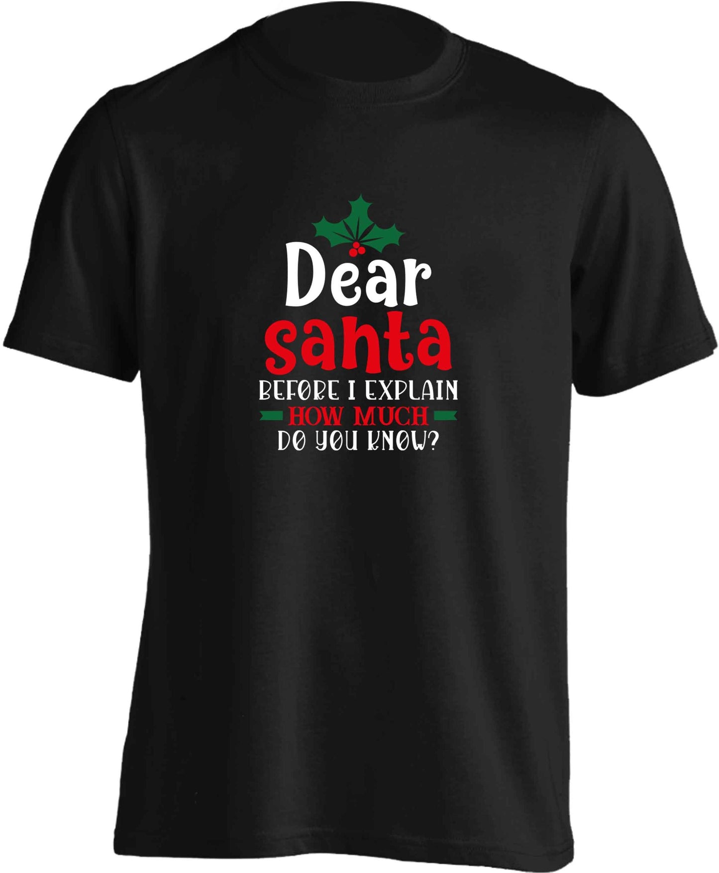 Santa before I explain how much do you know? adults unisex black Tshirt 2XL