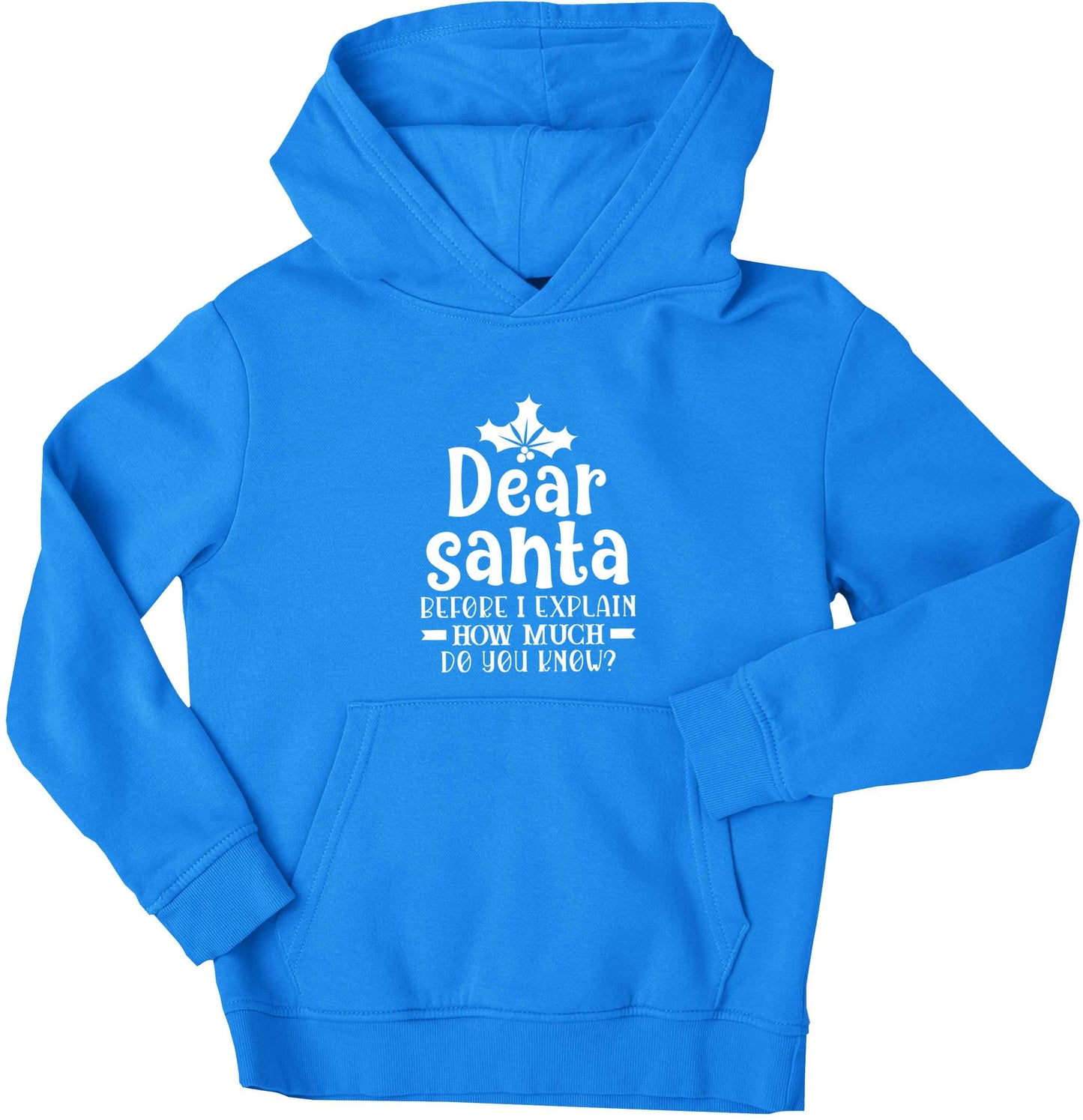 Santa before I explain how much do you know? children's blue hoodie 12-13 Years