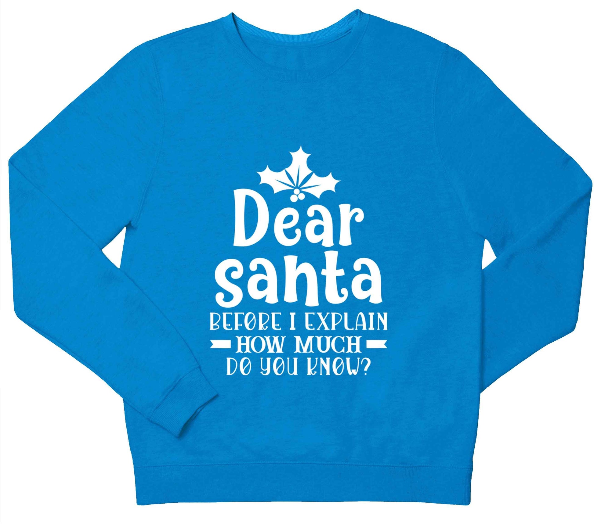 Santa before I explain how much do you know? children's blue sweater 12-13 Years