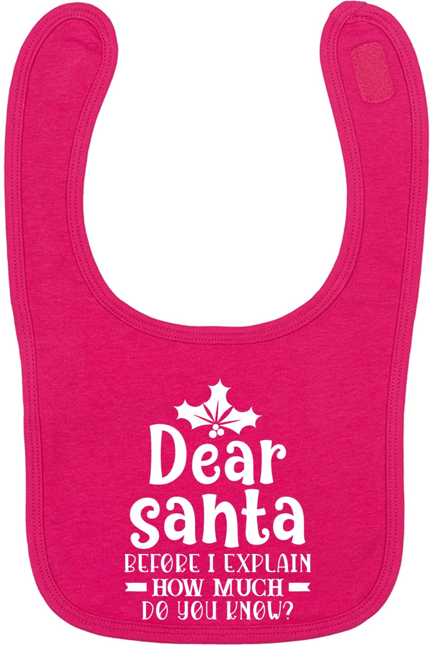 Santa before I explain how much do you know? dark pink baby bib