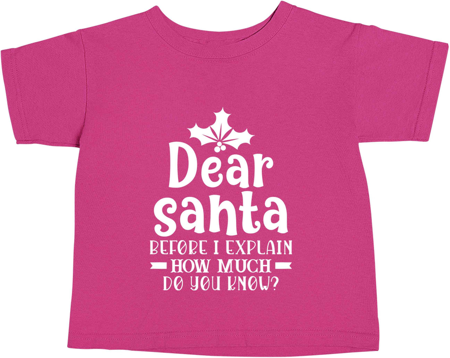 Santa before I explain how much do you know? pink baby toddler Tshirt 2 Years