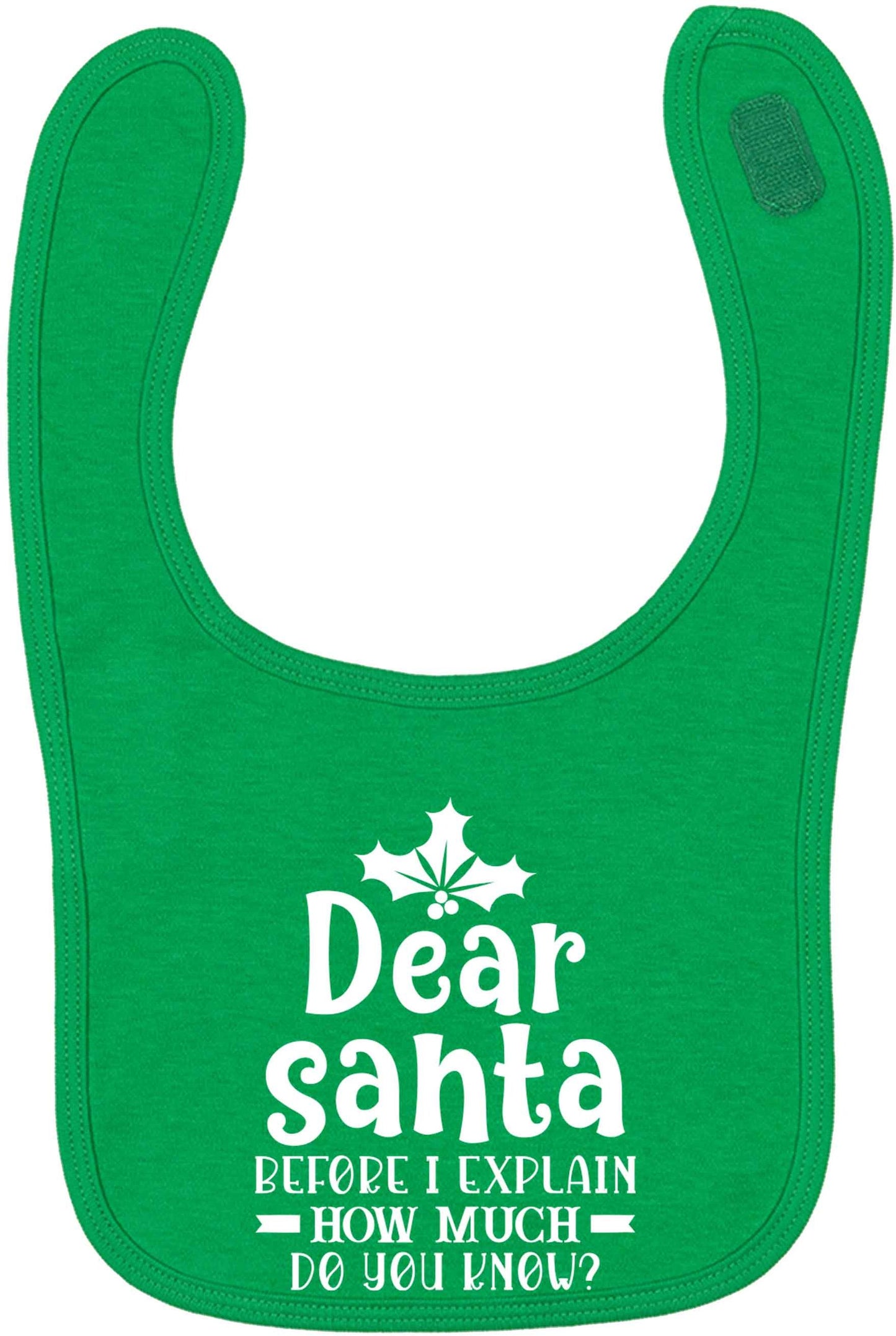 Santa before I explain how much do you know? green baby bib