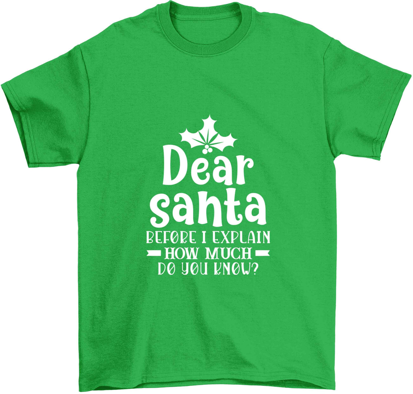 Santa before I explain how much do you know? Children's green Tshirt 12-13 Years