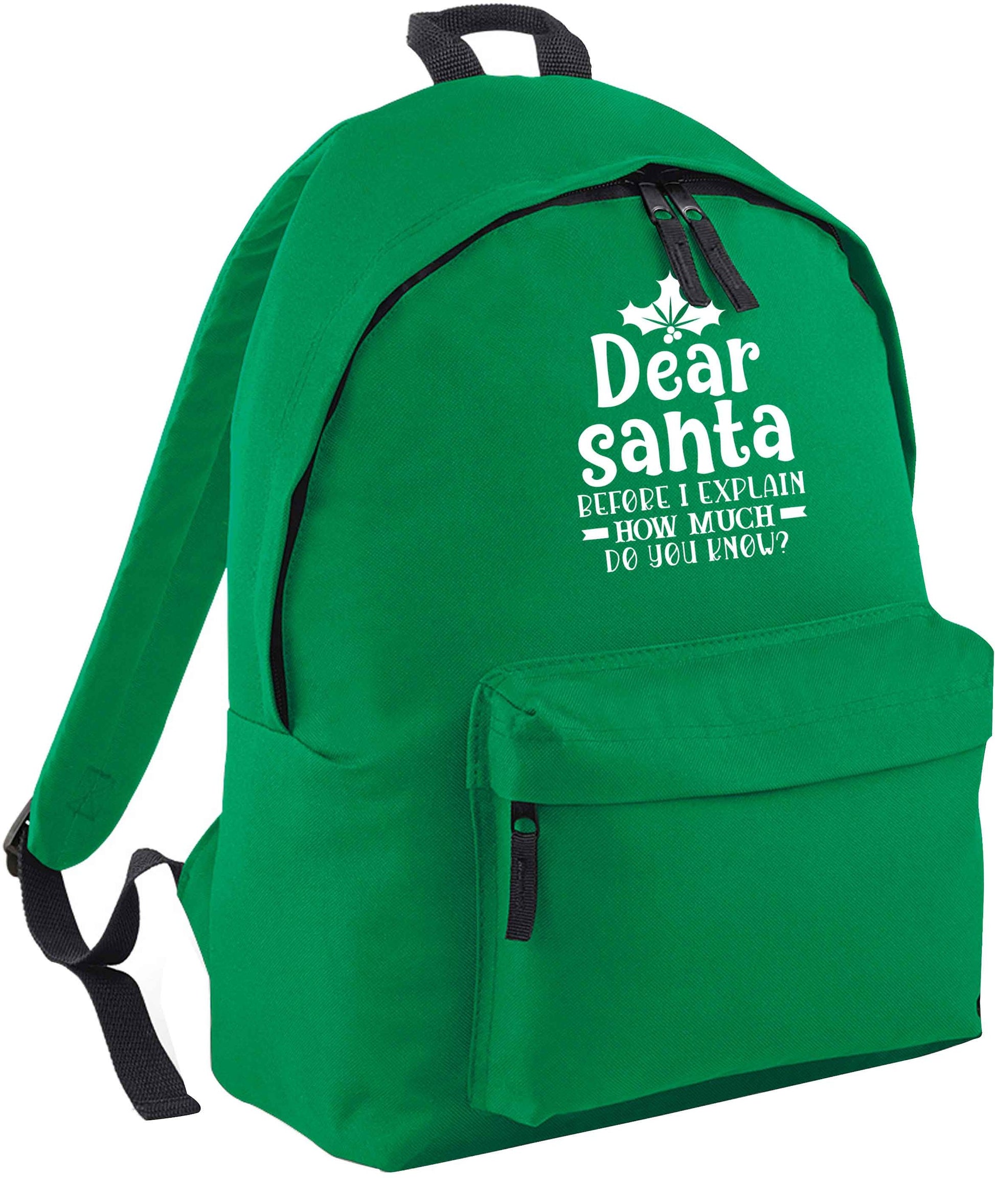 Santa before I explain how much do you know? green adults backpack