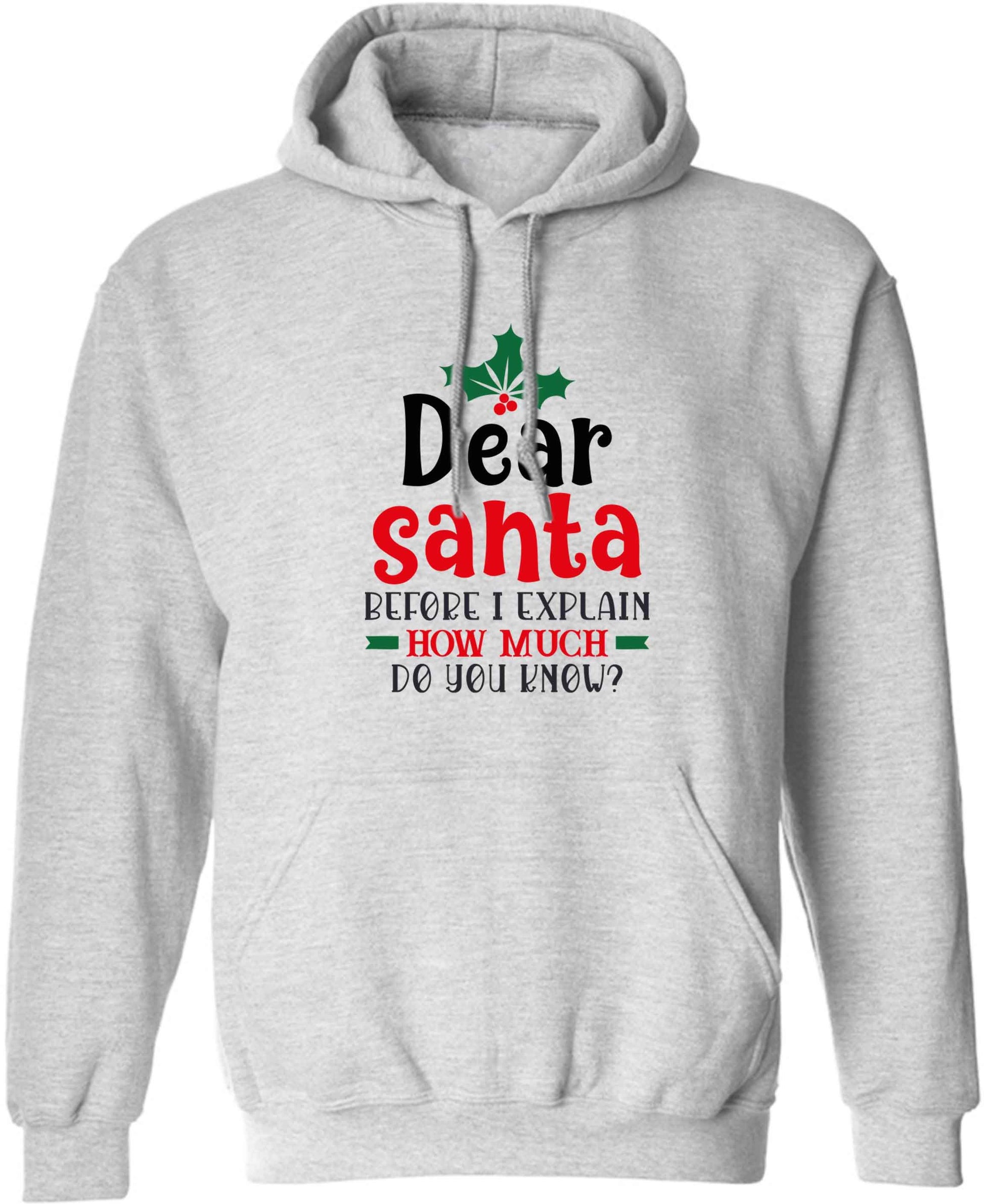 Santa before I explain how much do you know? adults unisex grey hoodie 2XL