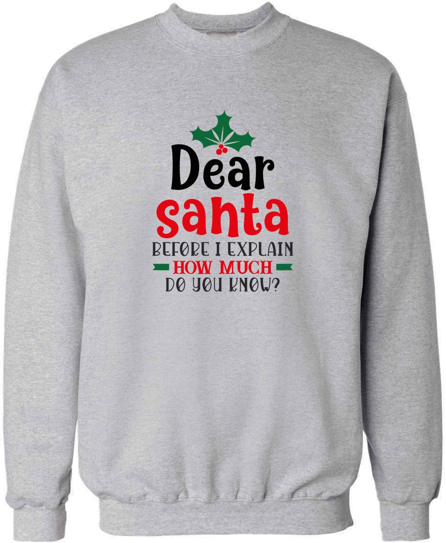 Santa before I explain how much do you know? adult's unisex grey sweater 2XL