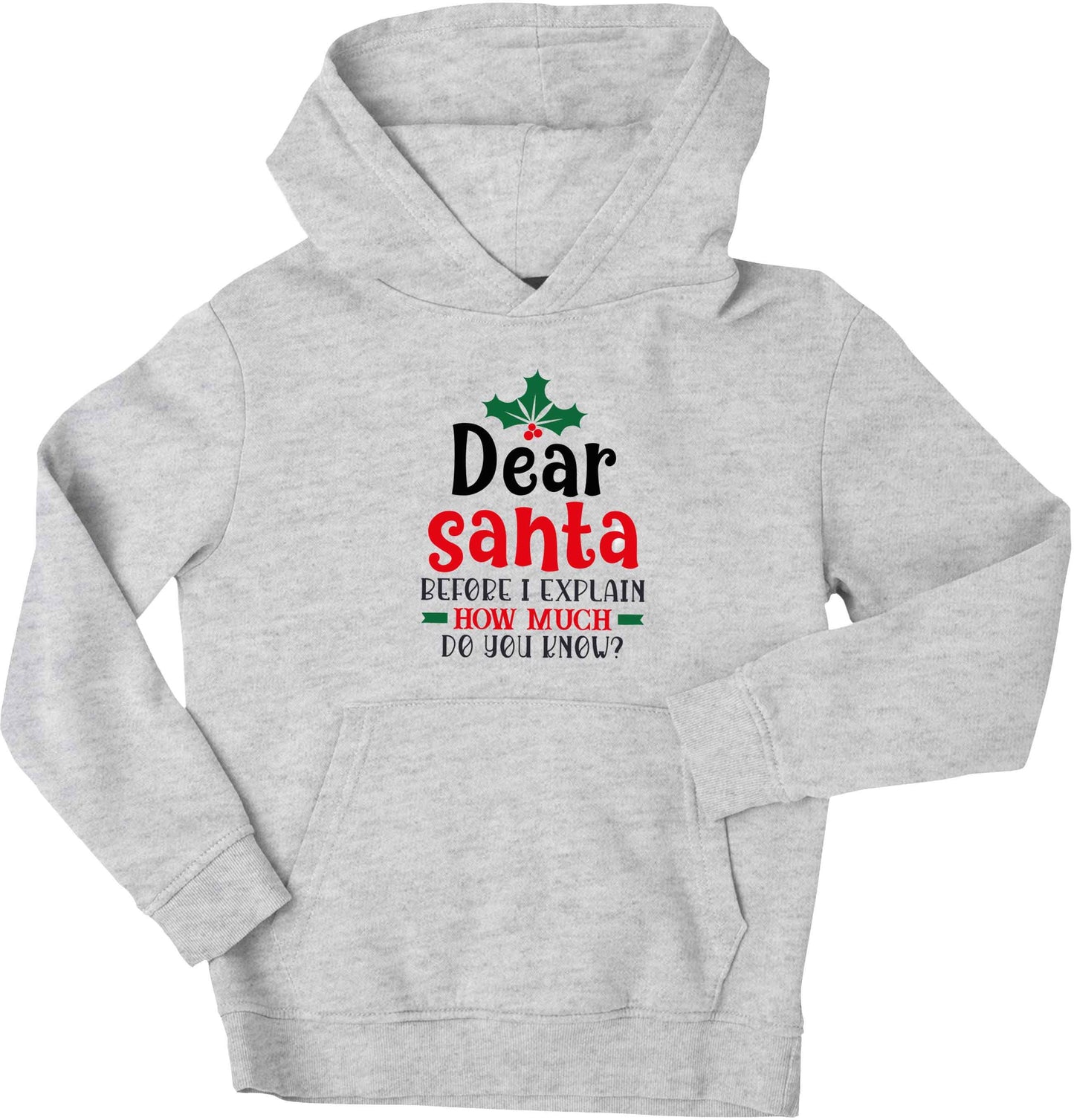 Santa before I explain how much do you know? children's grey hoodie 12-13 Years