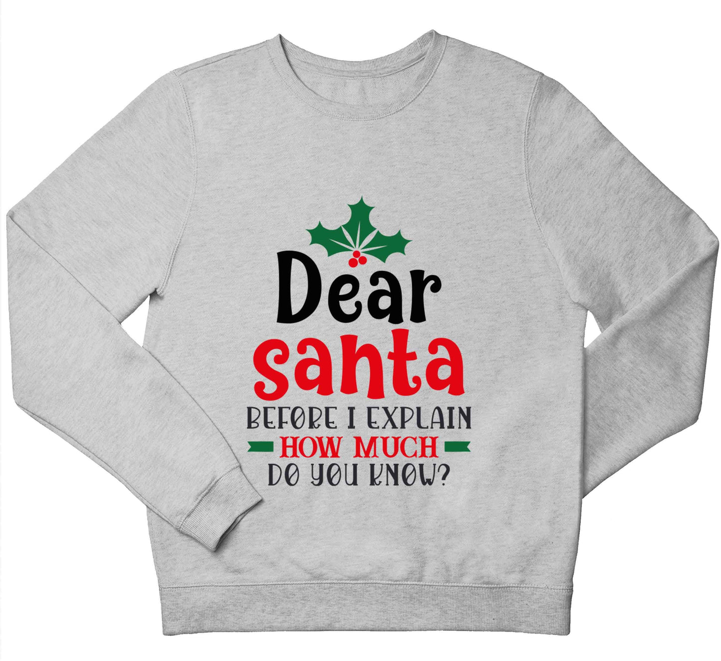 Santa before I explain how much do you know? children's grey sweater 12-13 Years