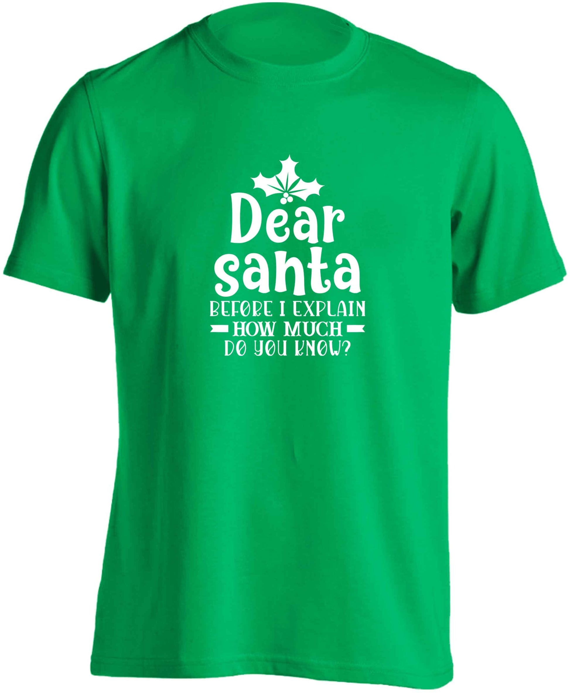 Santa before I explain how much do you know? adults unisex green Tshirt 2XL