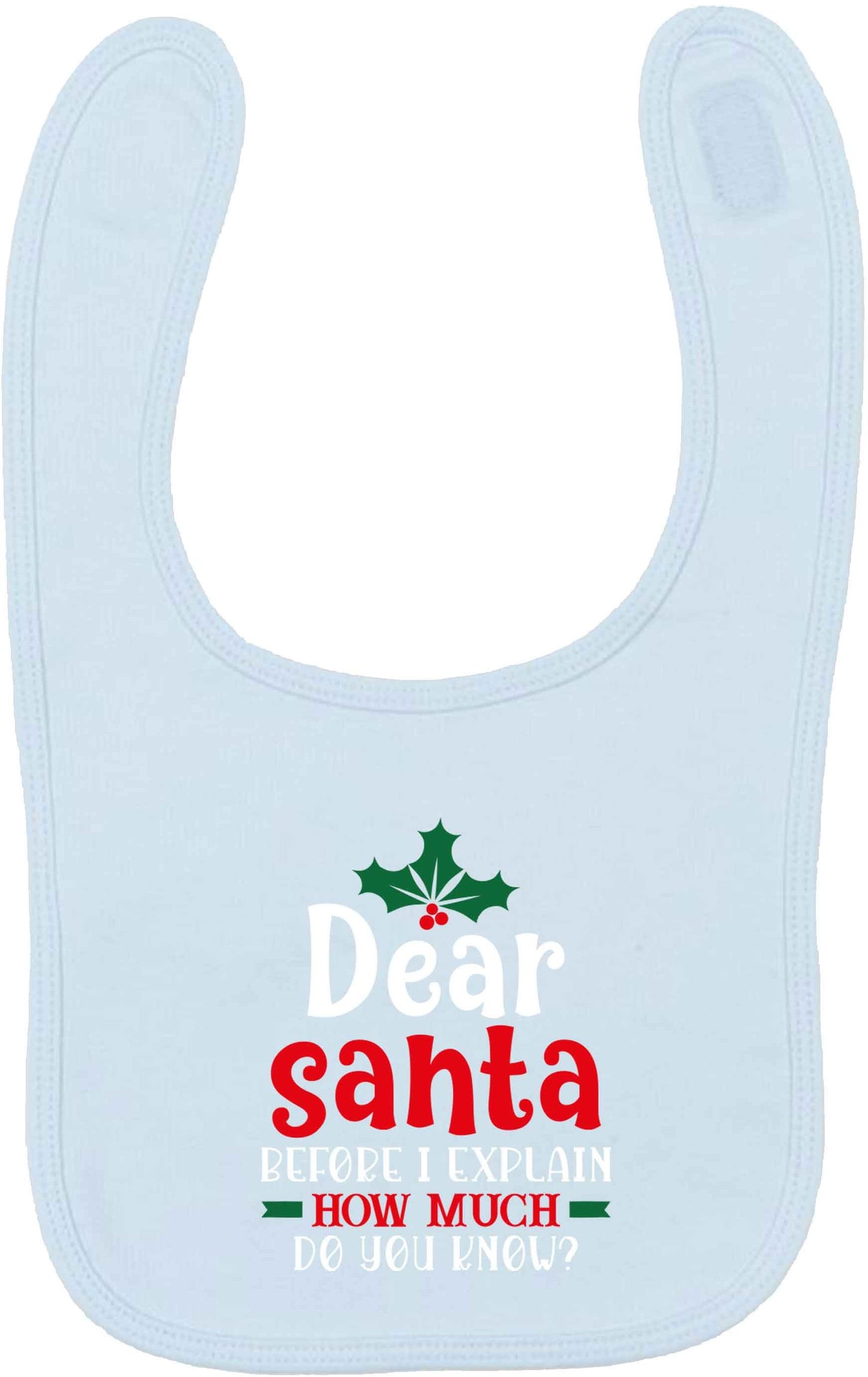 Santa before I explain how much do you know? pale blue baby bib