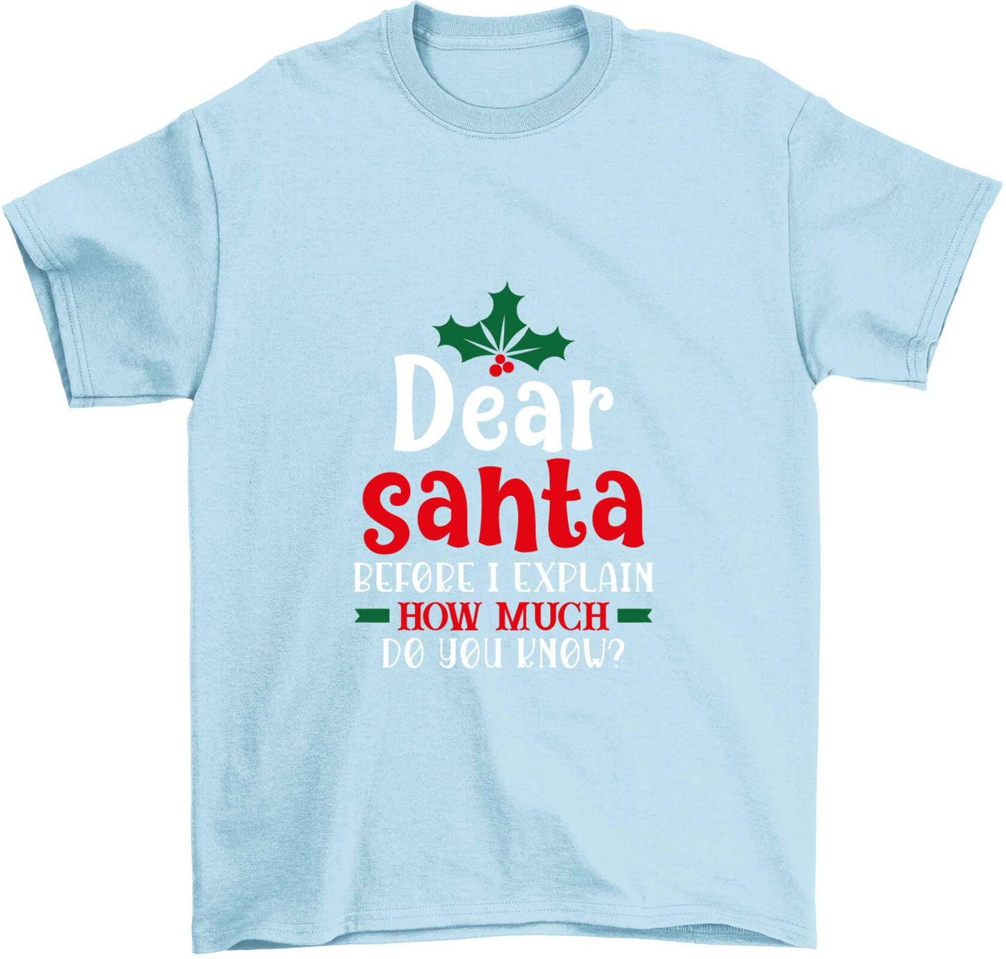 Santa before I explain how much do you know? Children's light blue Tshirt 12-13 Years