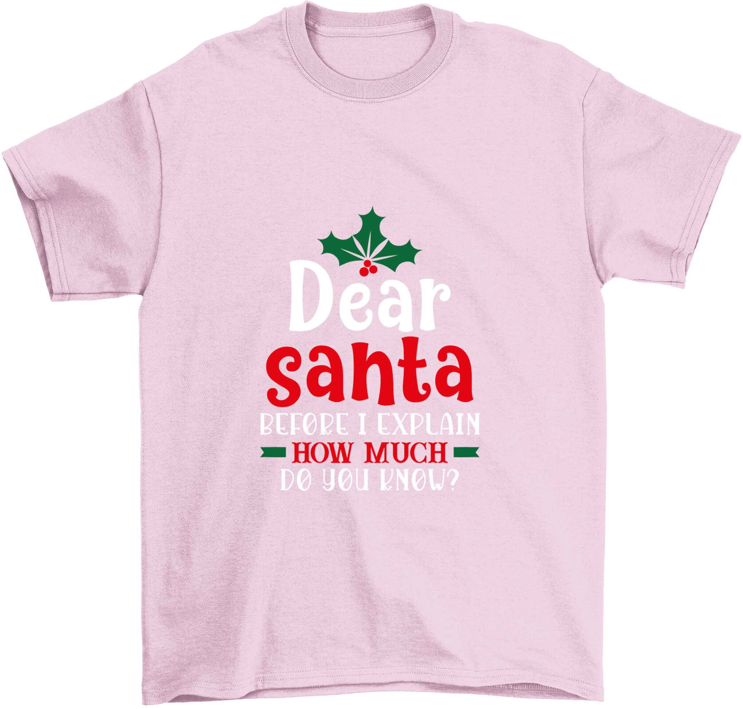 Santa before I explain how much do you know? Children's light pink Tshirt 12-13 Years