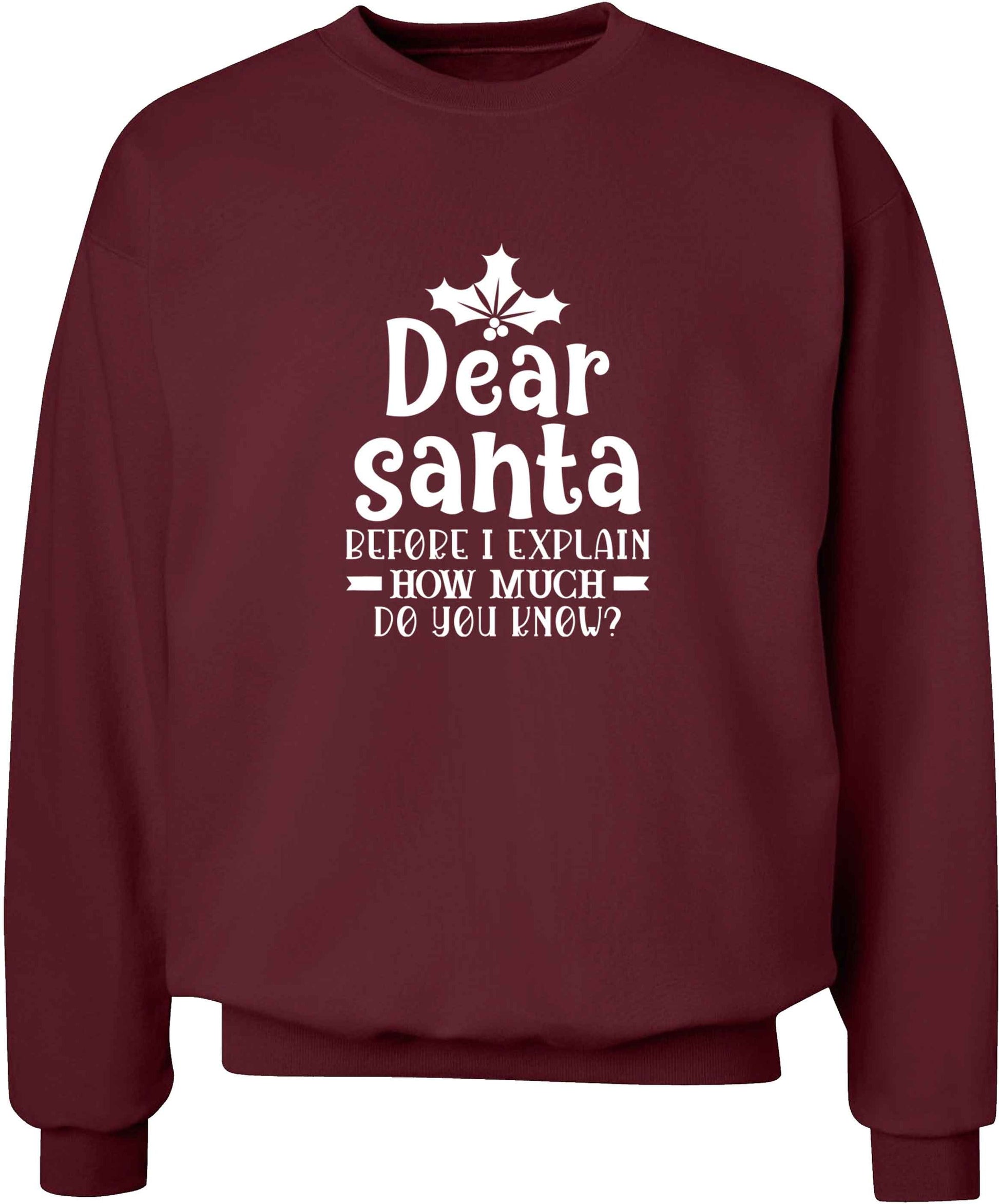 Santa before I explain how much do you know? adult's unisex maroon sweater 2XL