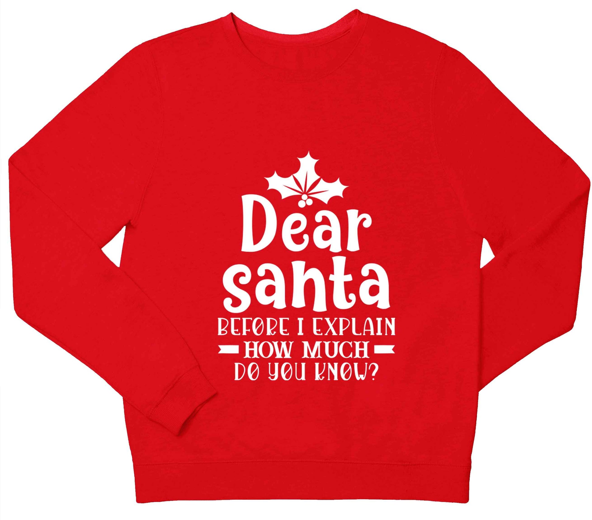 Santa before I explain how much do you know? children's grey sweater 12-13 Years