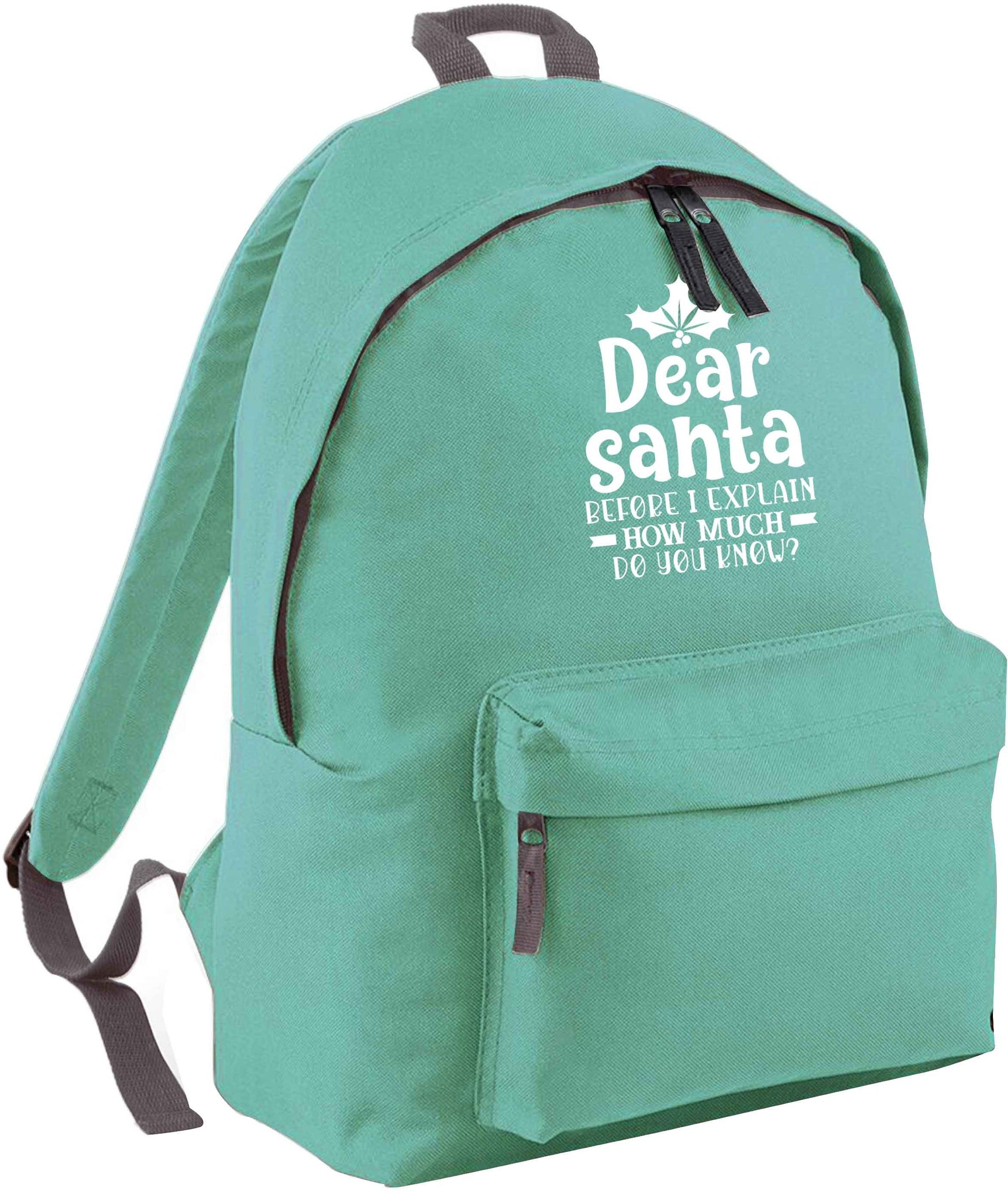 Santa before I explain how much do you know? mint adults backpack