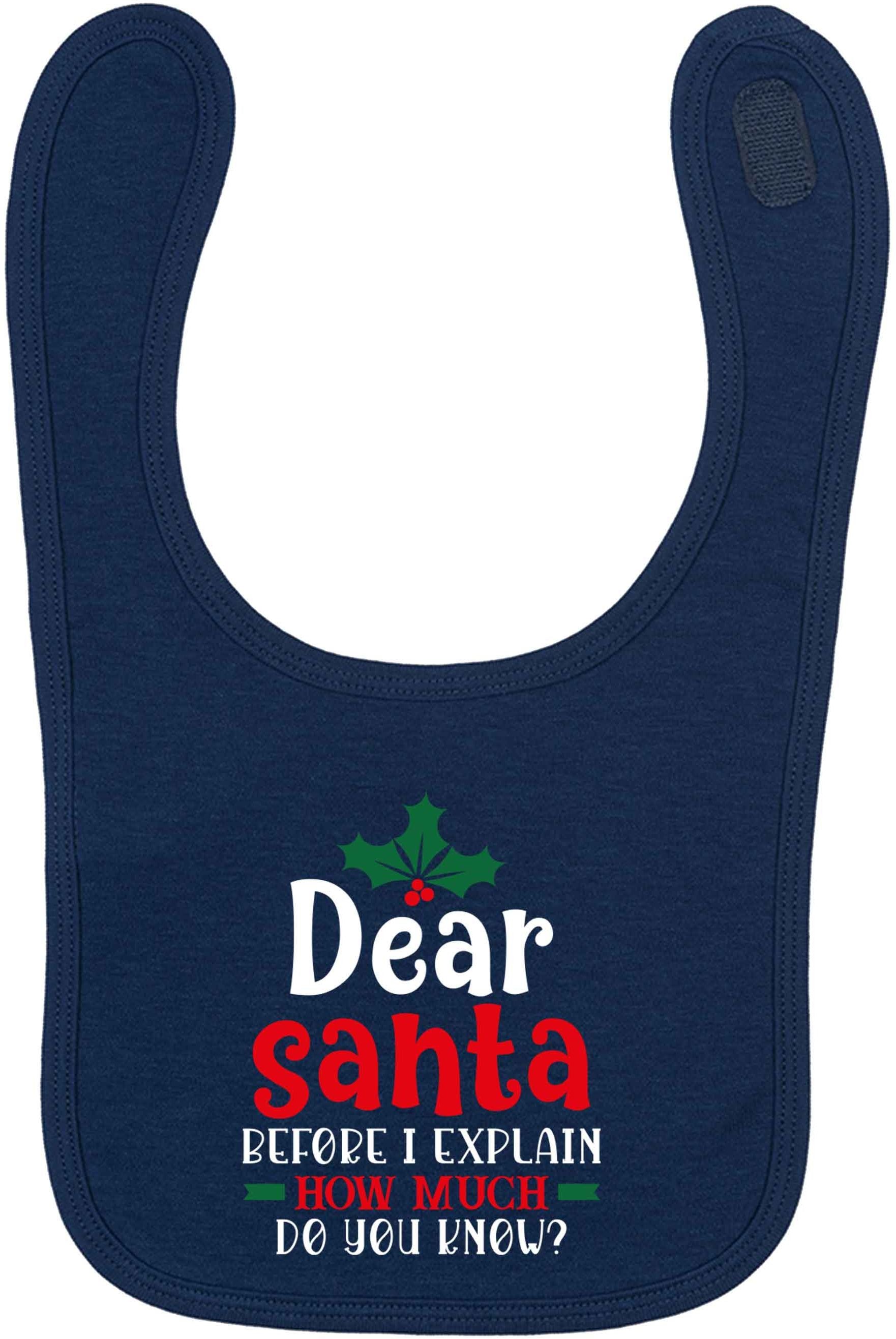 Santa before I explain how much do you know? navy baby bib
