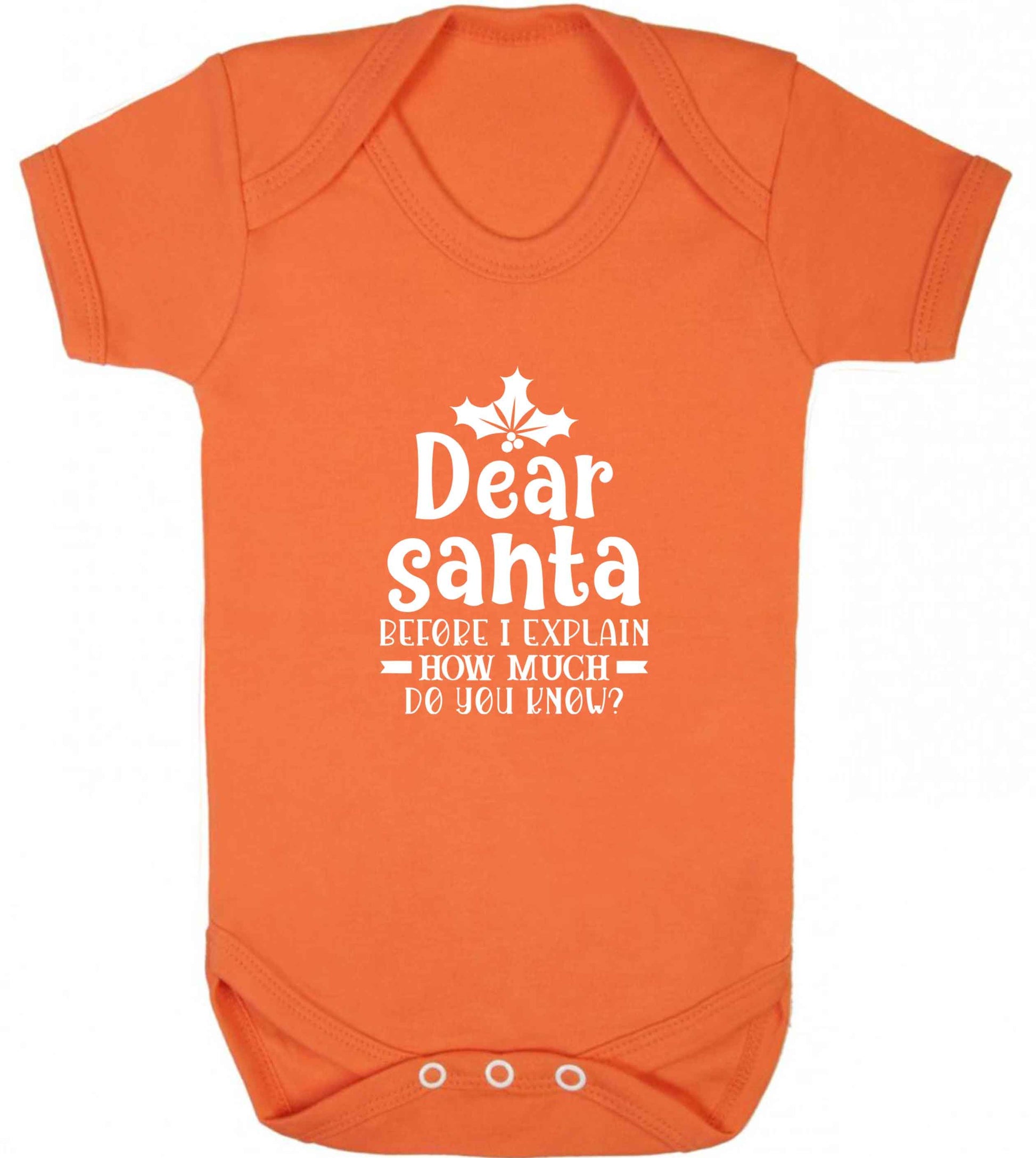 Santa before I explain how much do you know? baby vest orange 18-24 months