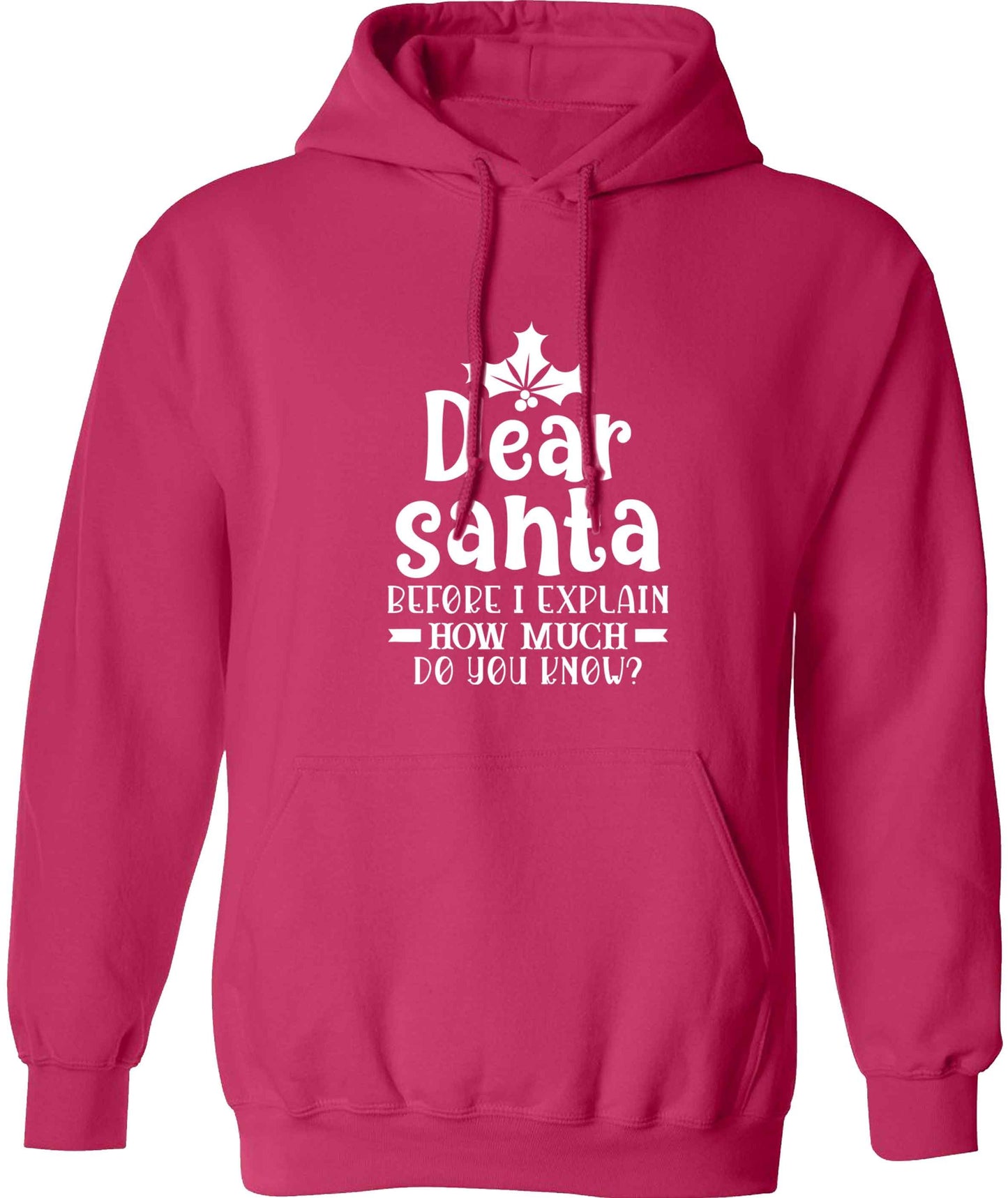 Santa before I explain how much do you know? adults unisex pink hoodie 2XL