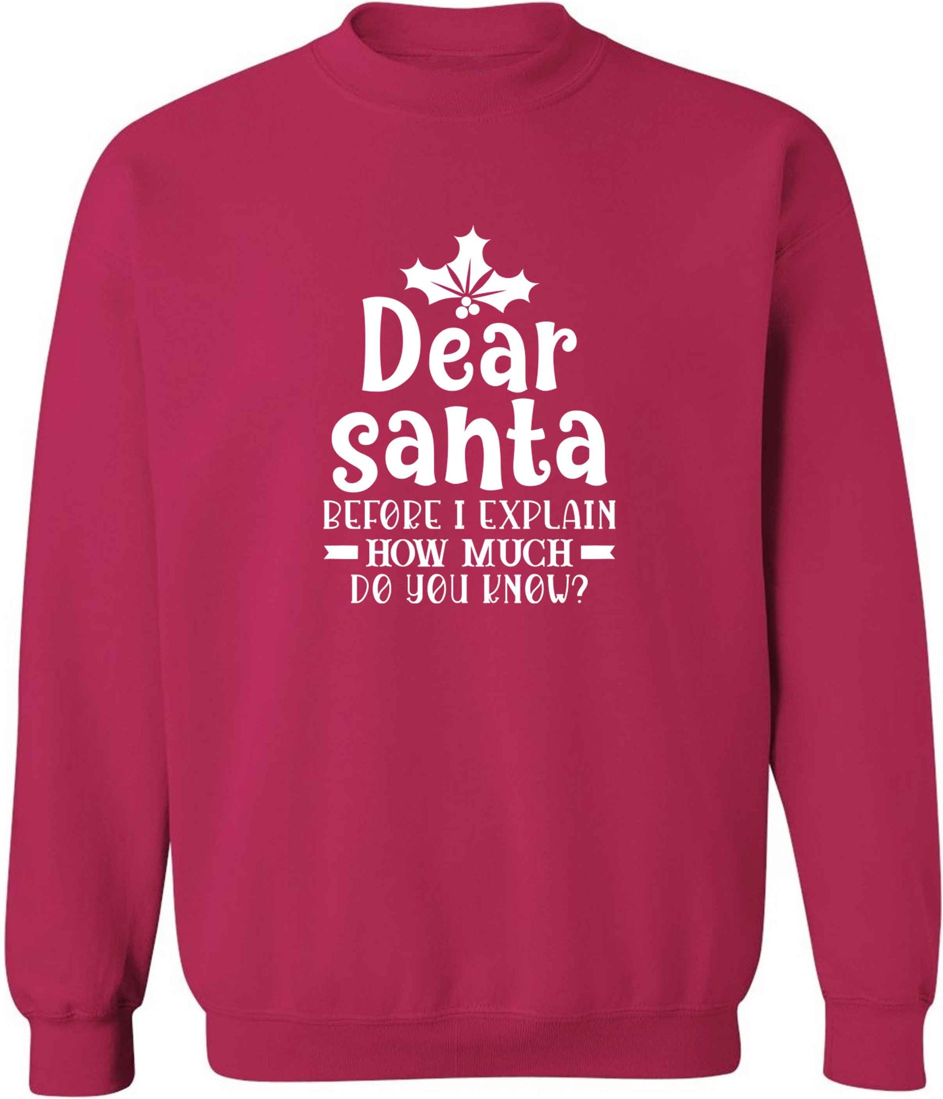 Santa before I explain how much do you know? adult's unisex pink sweater 2XL