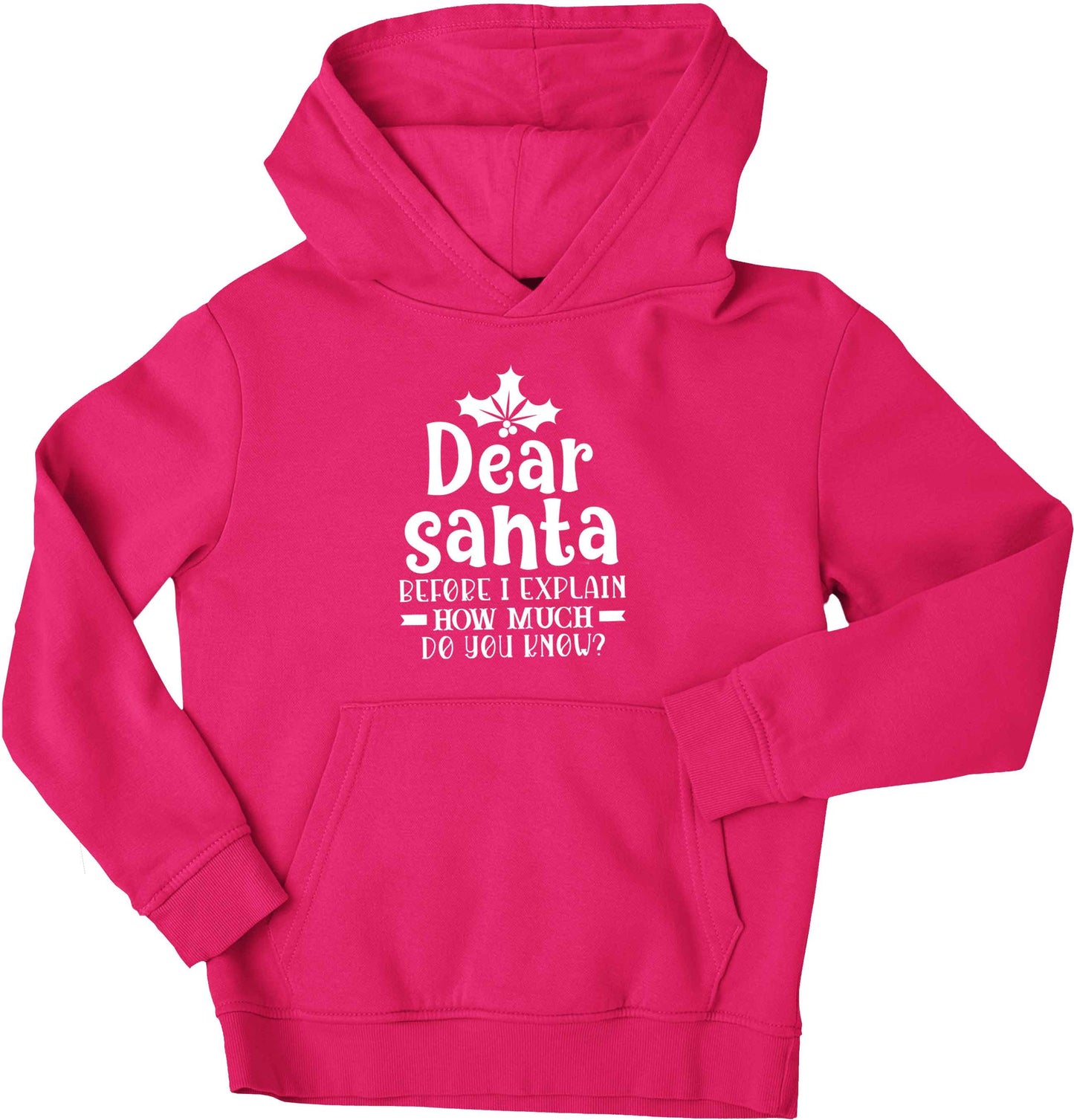 Santa before I explain how much do you know? children's pink hoodie 12-13 Years