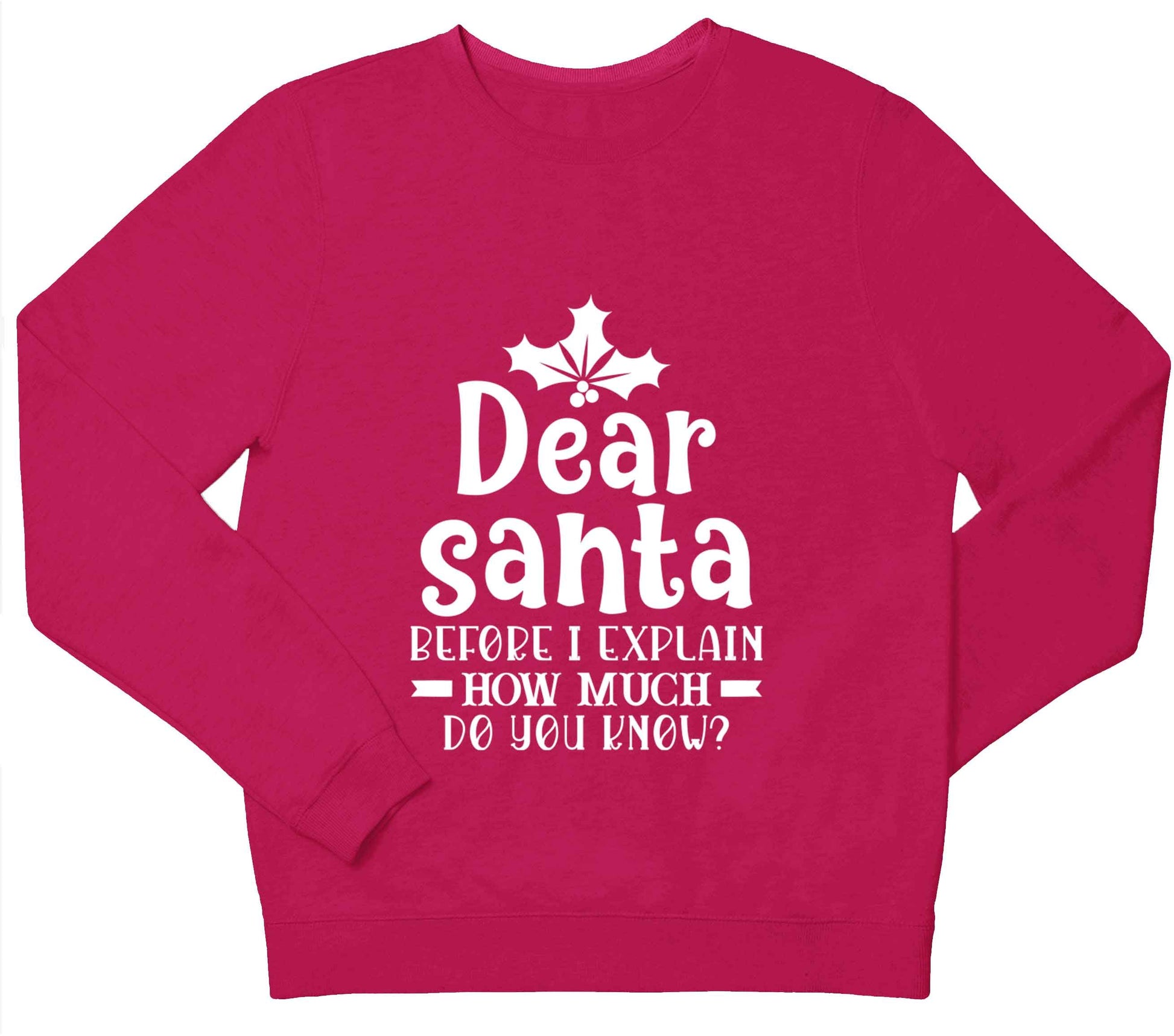 Santa before I explain how much do you know? children's pink sweater 12-13 Years