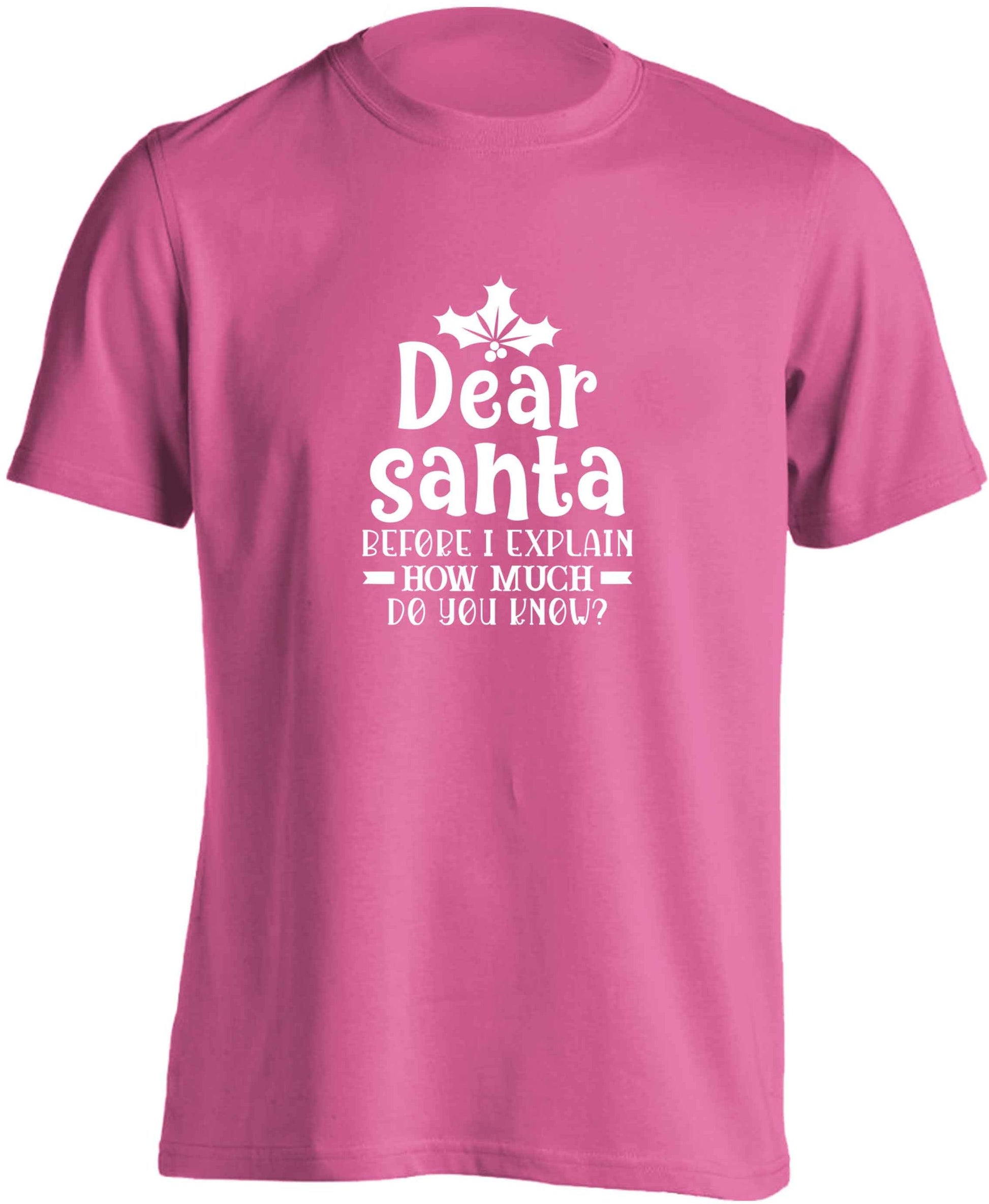 Santa before I explain how much do you know? adults unisex pink Tshirt 2XL