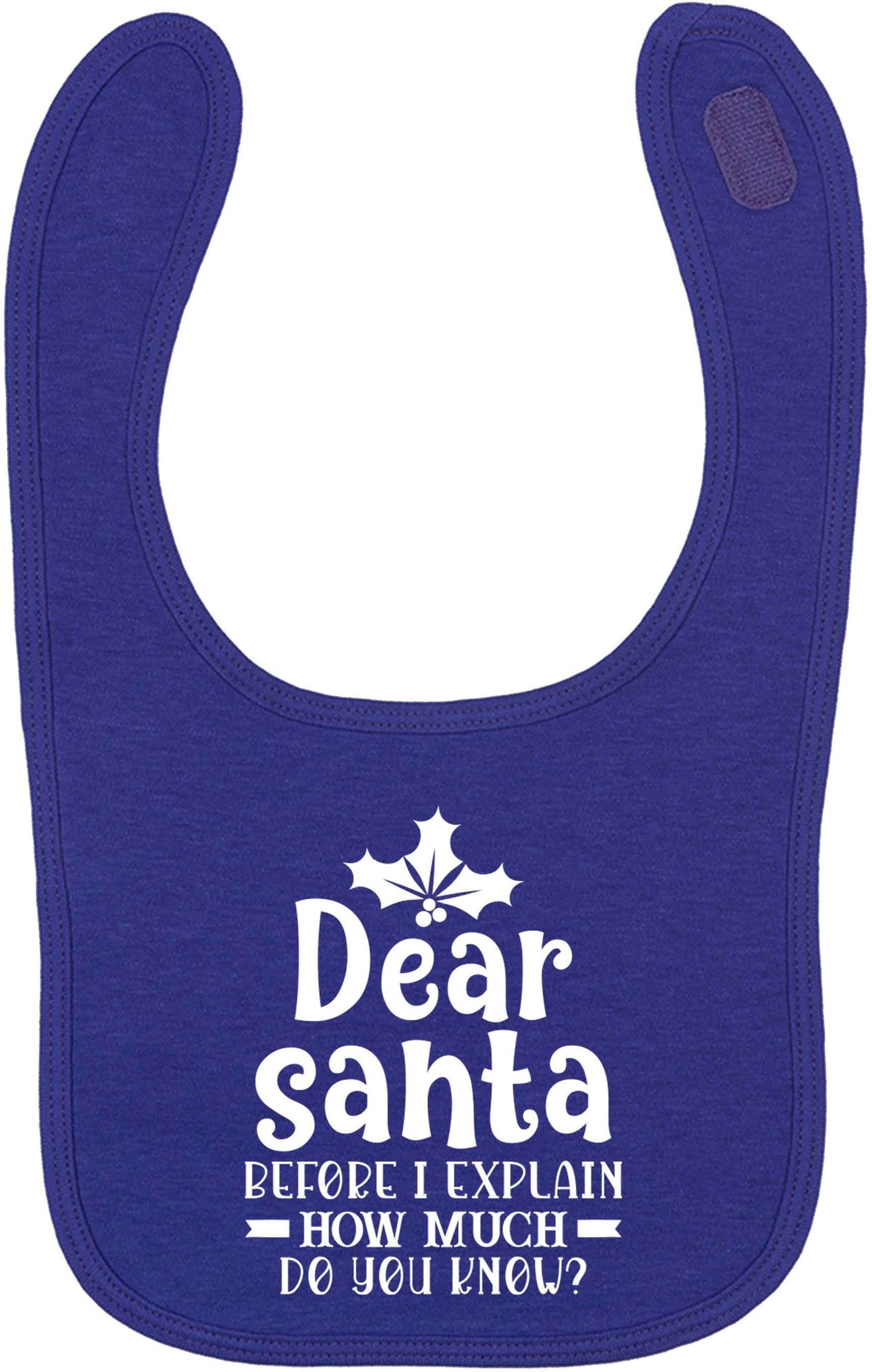 Santa before I explain how much do you know? | baby bib