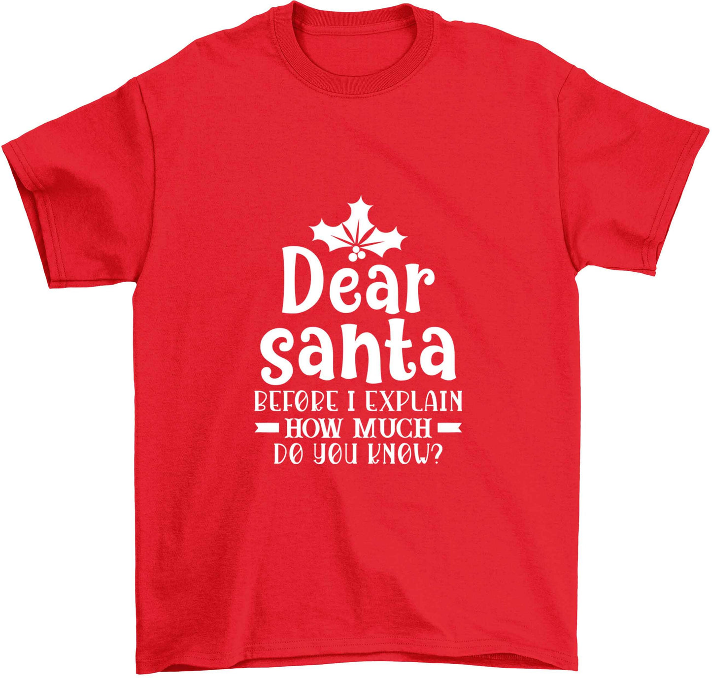 Santa before I explain how much do you know? Children's red Tshirt 12-13 Years