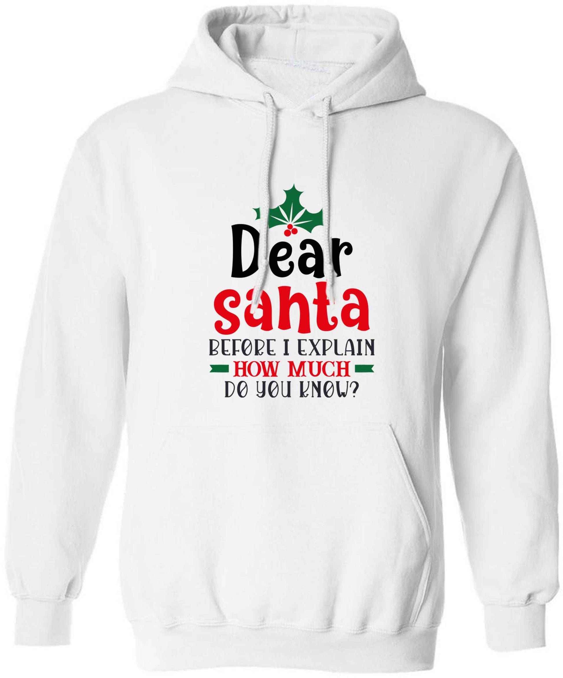 Santa before I explain how much do you know? adults unisex white hoodie 2XL