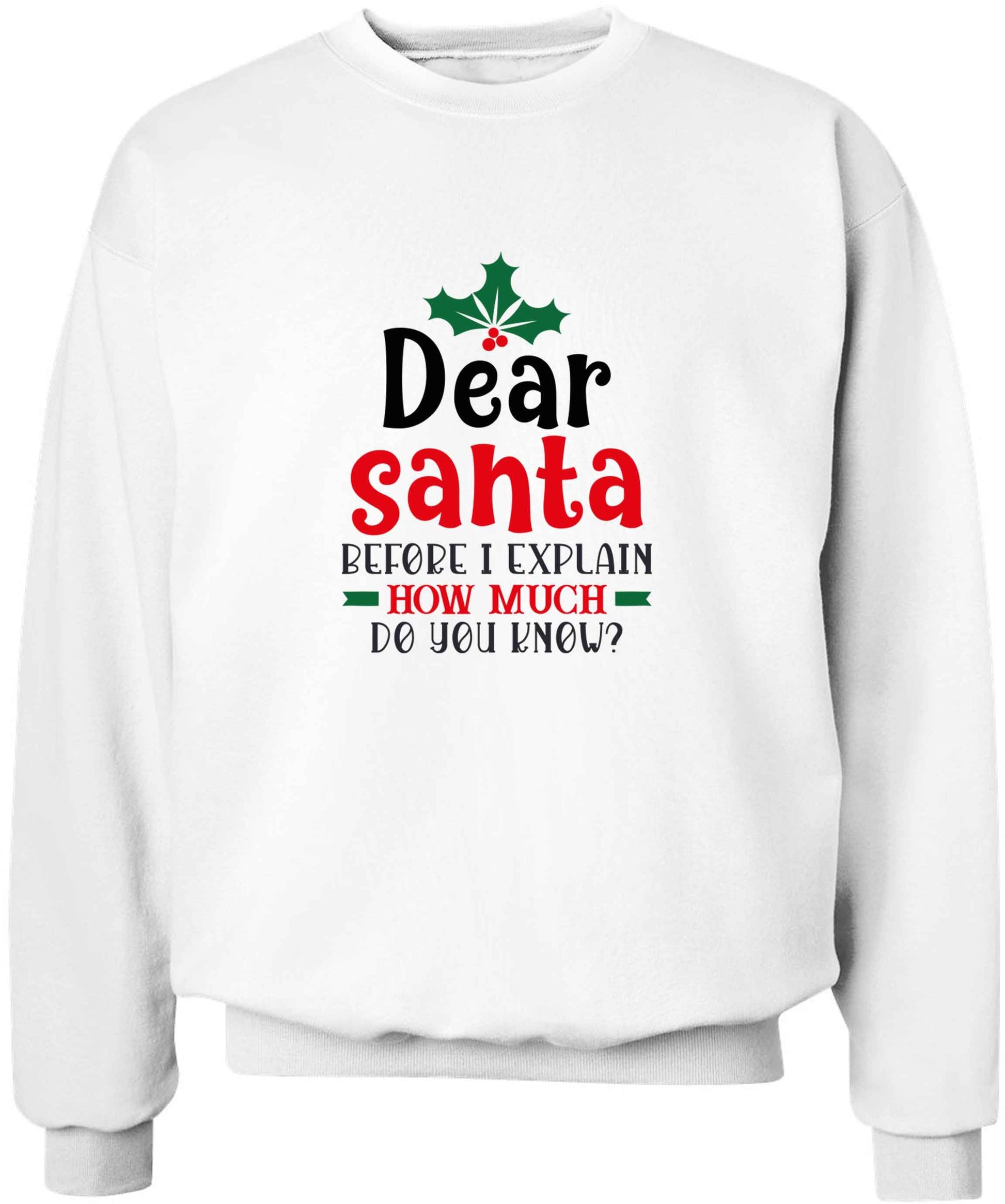 Santa before I explain how much do you know? adult's unisex white sweater 2XL