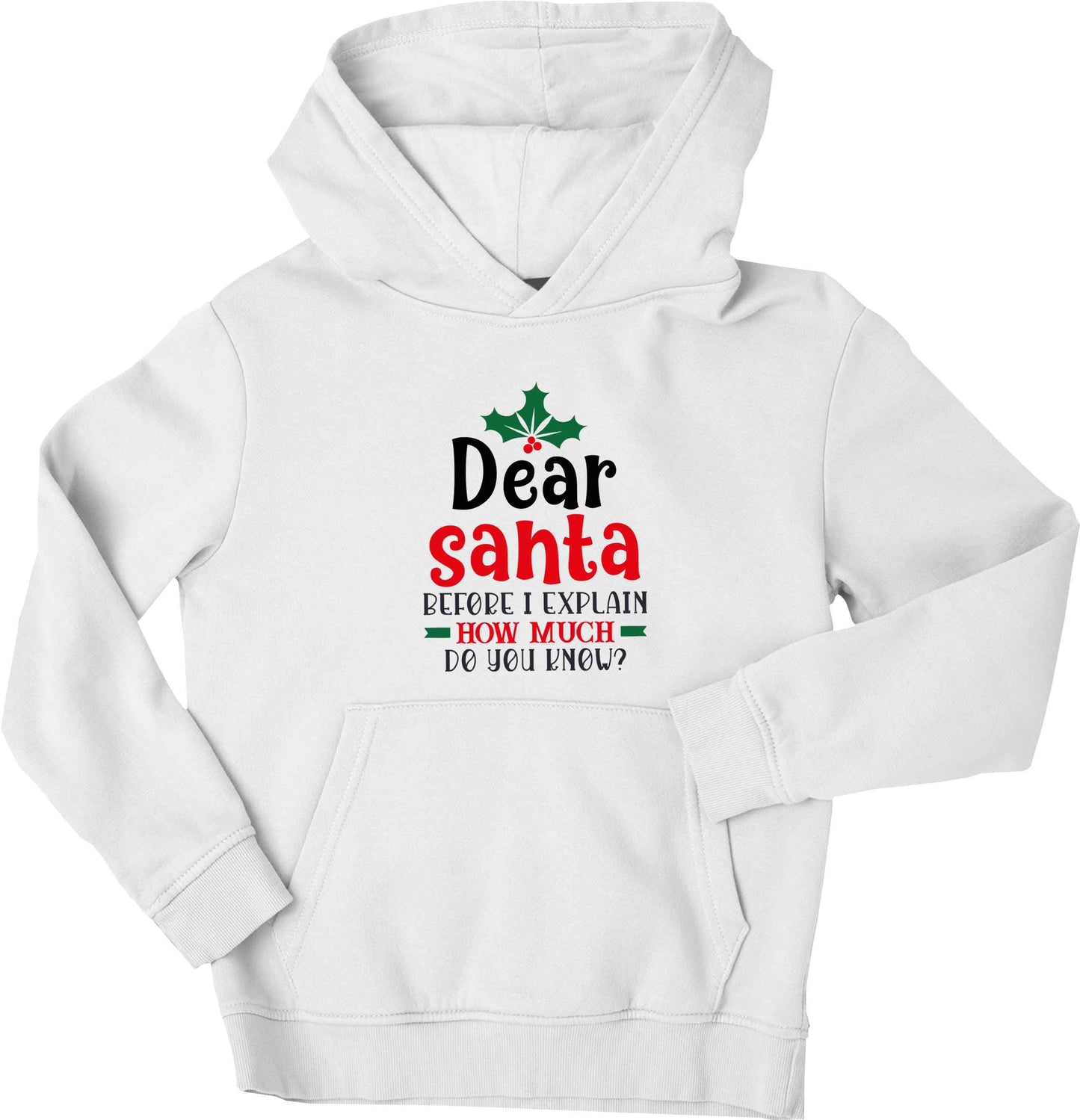 Santa before I explain how much do you know? children's white hoodie 12-13 Years