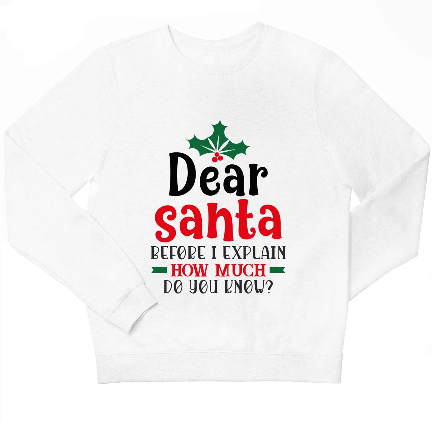 Santa before I explain how much do you know? children's white sweater 12-13 Years