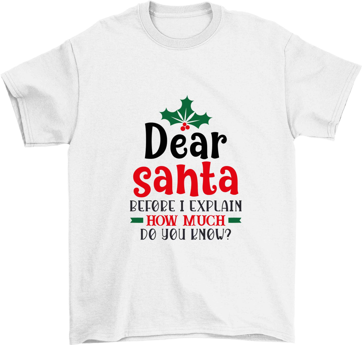 Santa before I explain how much do you know? Children's white Tshirt 12-13 Years