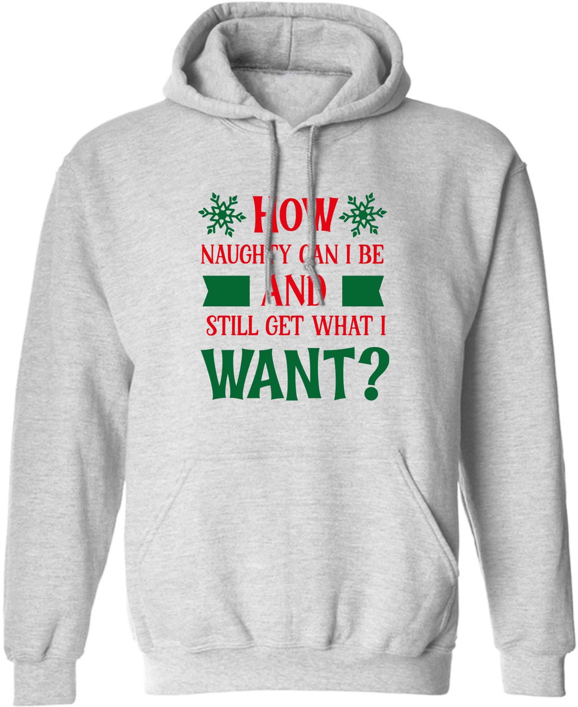 How naughty can I be and still get what I want? adults unisex grey hoodie 2XL