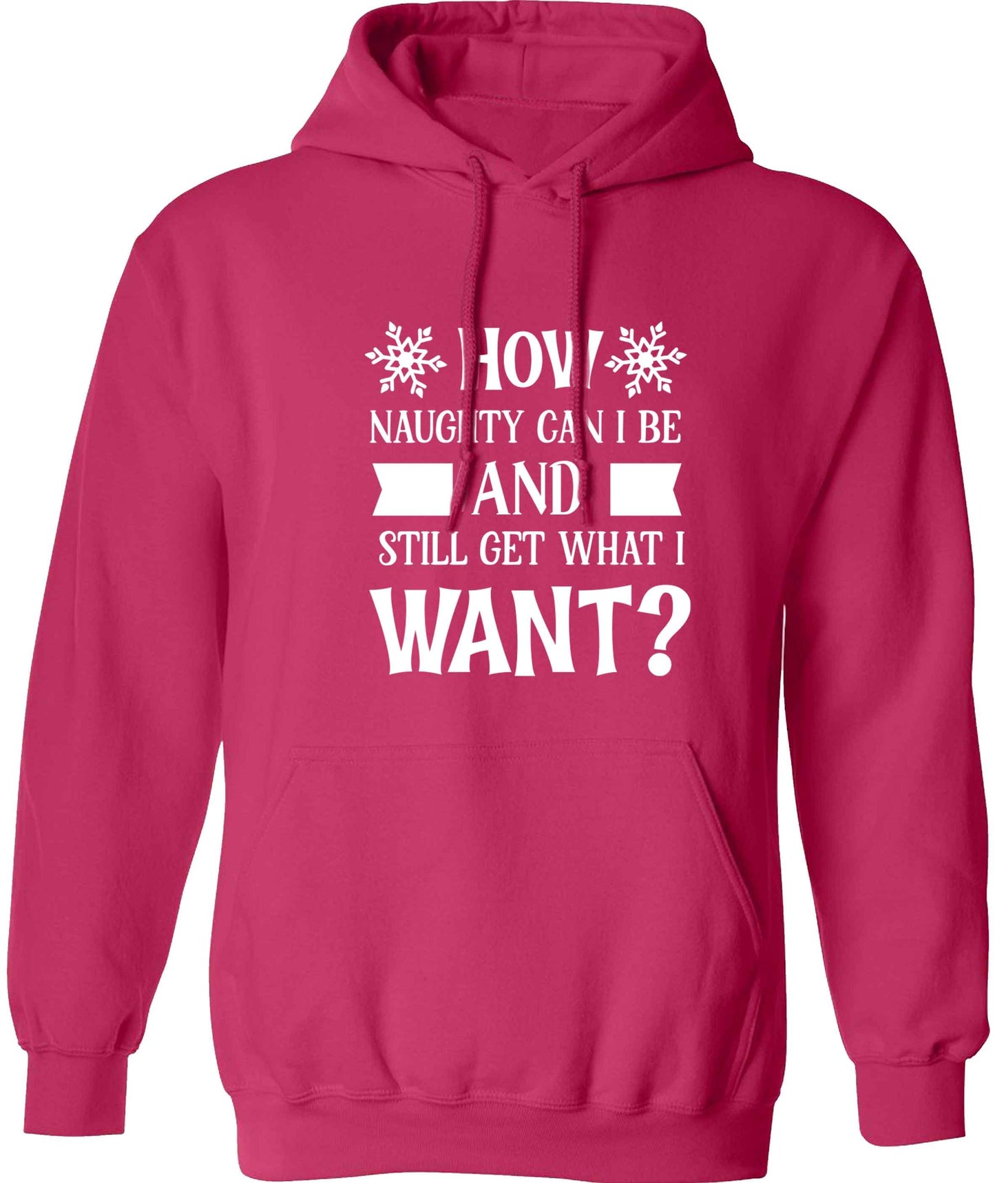 How naughty can I be and still get what I want? adults unisex pink hoodie 2XL