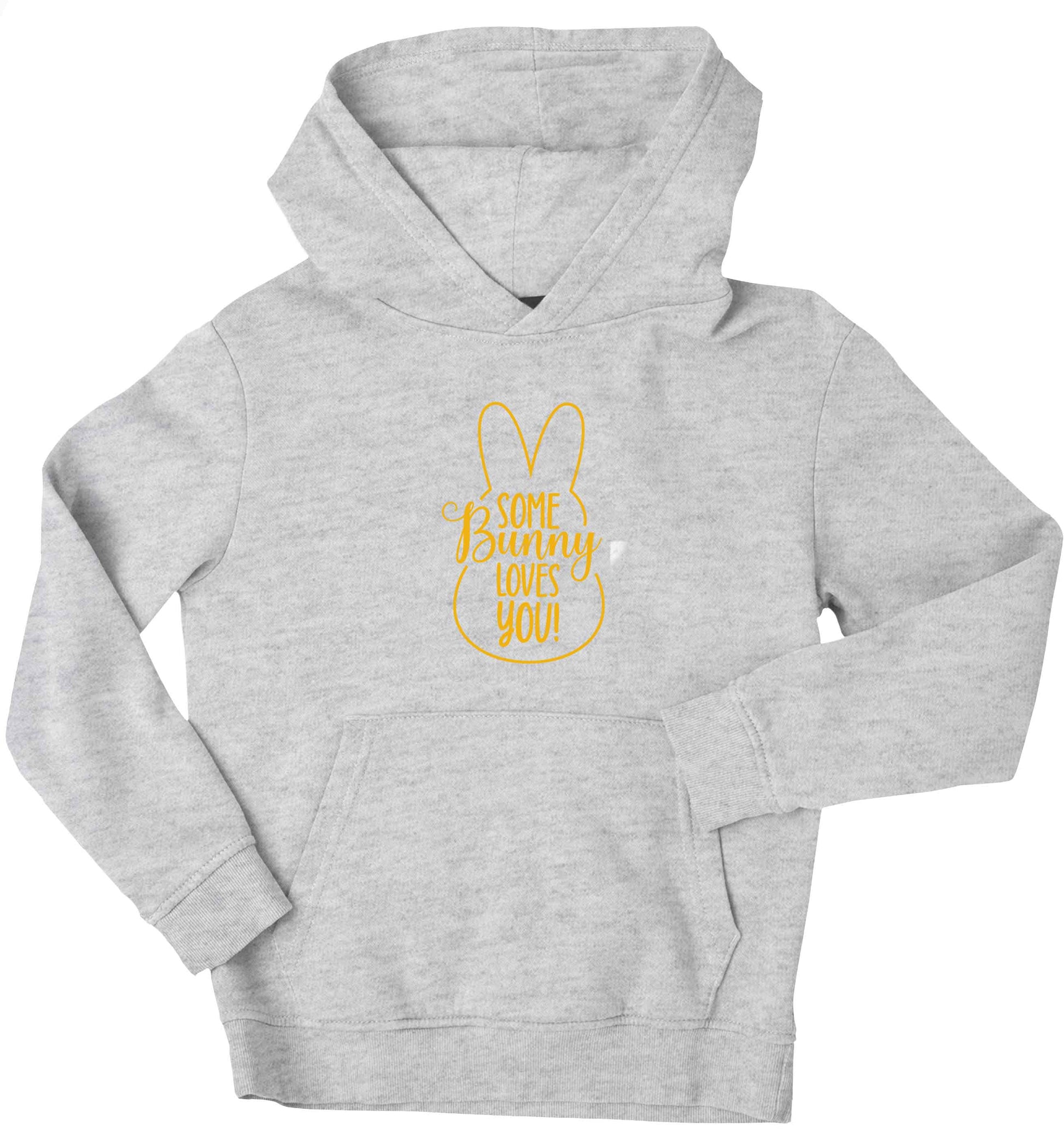Some bunny loves you children's grey hoodie 12-13 Years