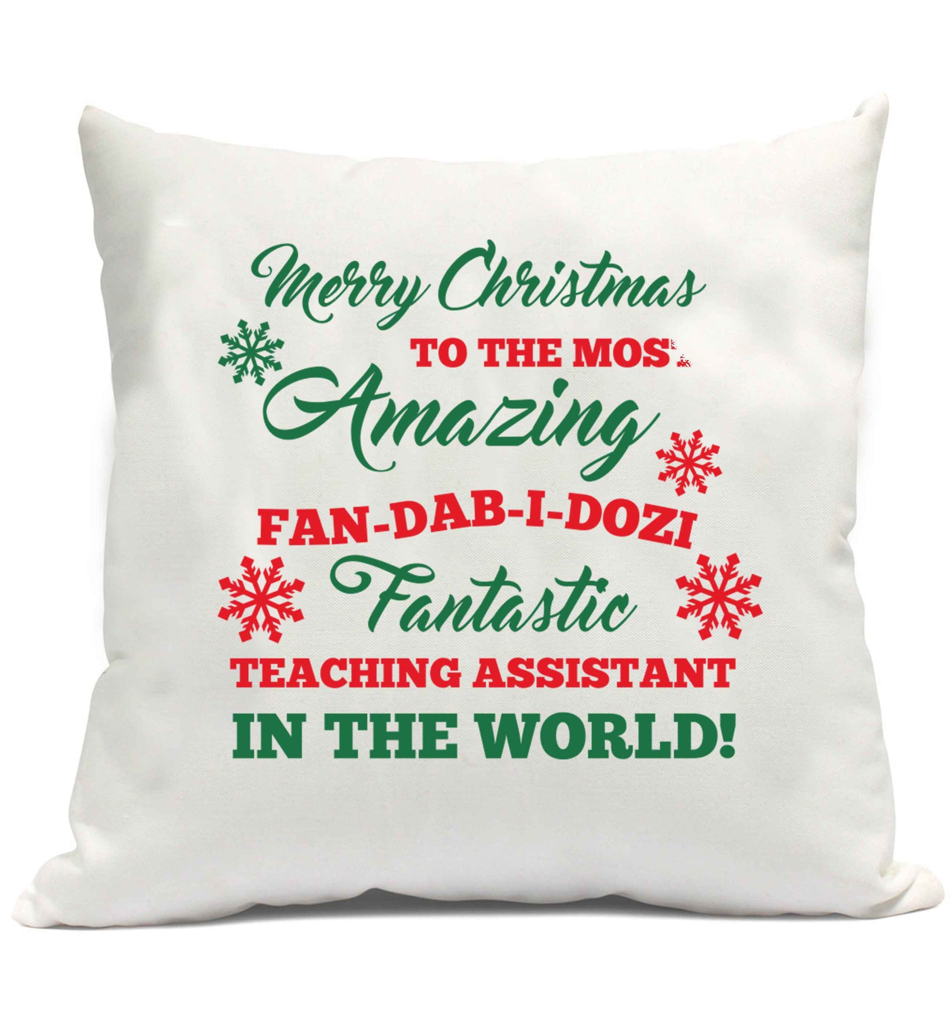 Merry Christmas to the most amazing fan-dab-i-dozi fantasic teaching assistant in the world cushion cover and filling