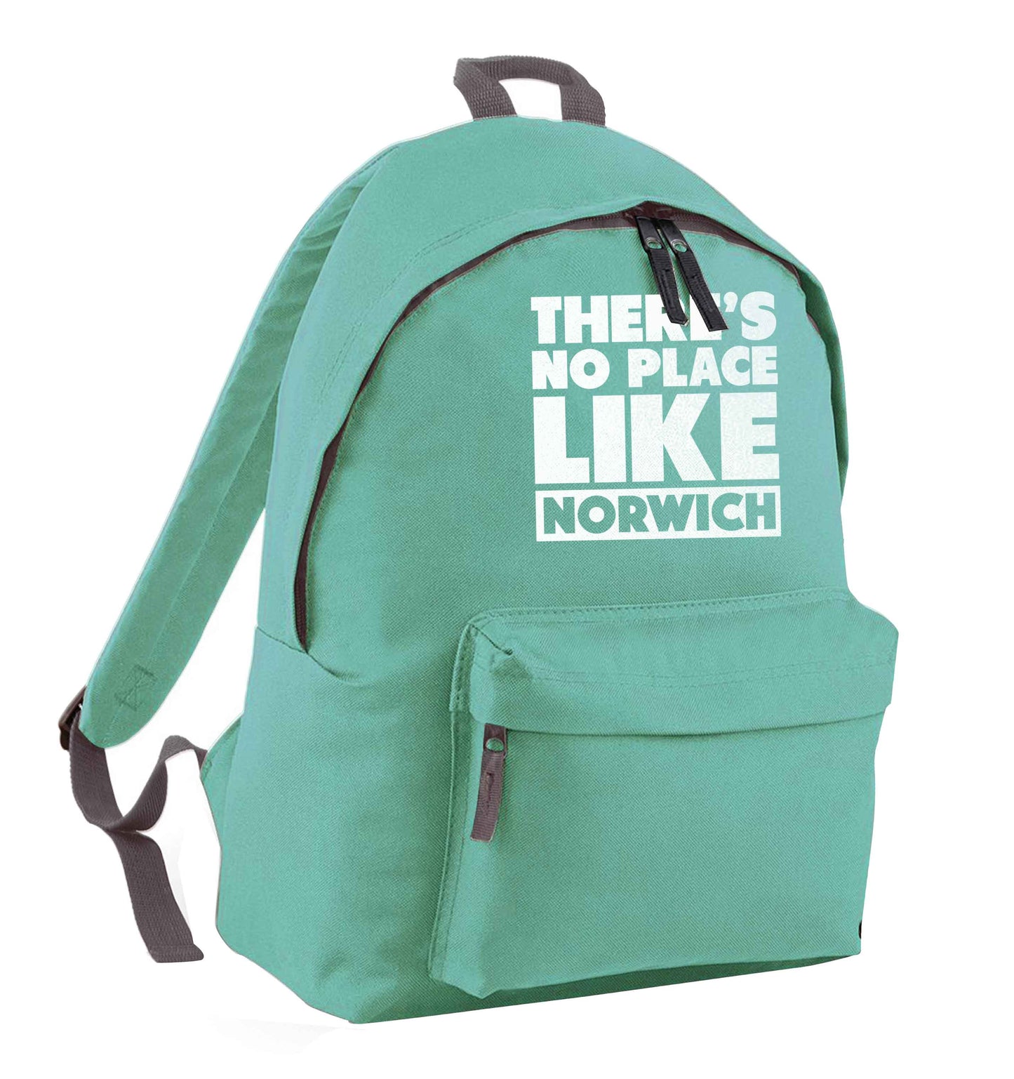 There's no place like Norwich mint adults backpack