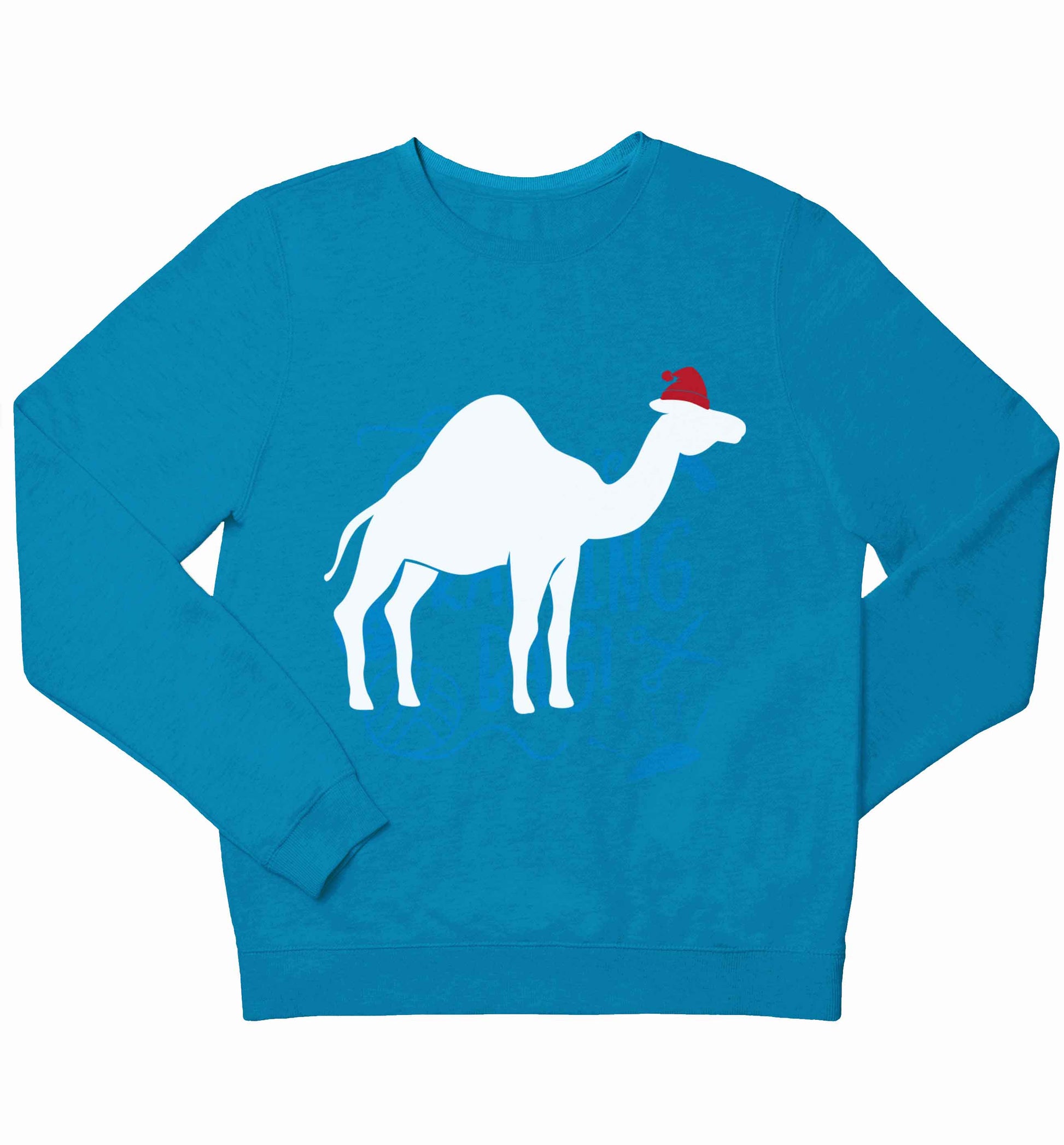 Blue camel santa children's blue sweater 12-13 Years