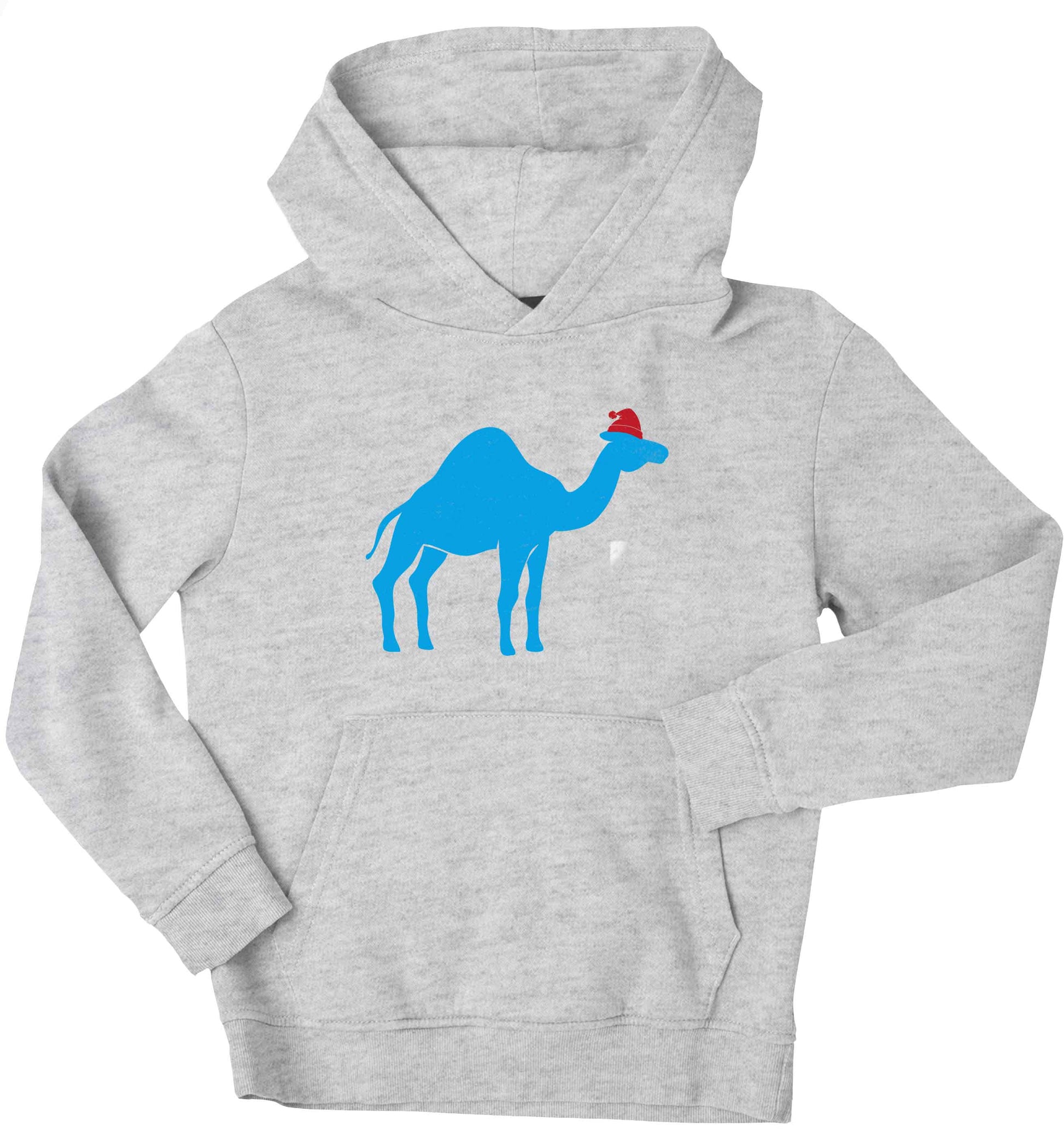 Blue camel santa children's grey hoodie 12-13 Years
