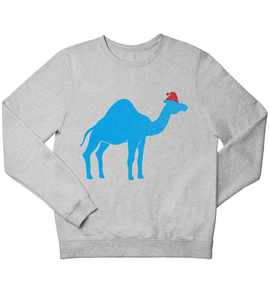 Blue camel santa children's grey sweater 12-13 Years